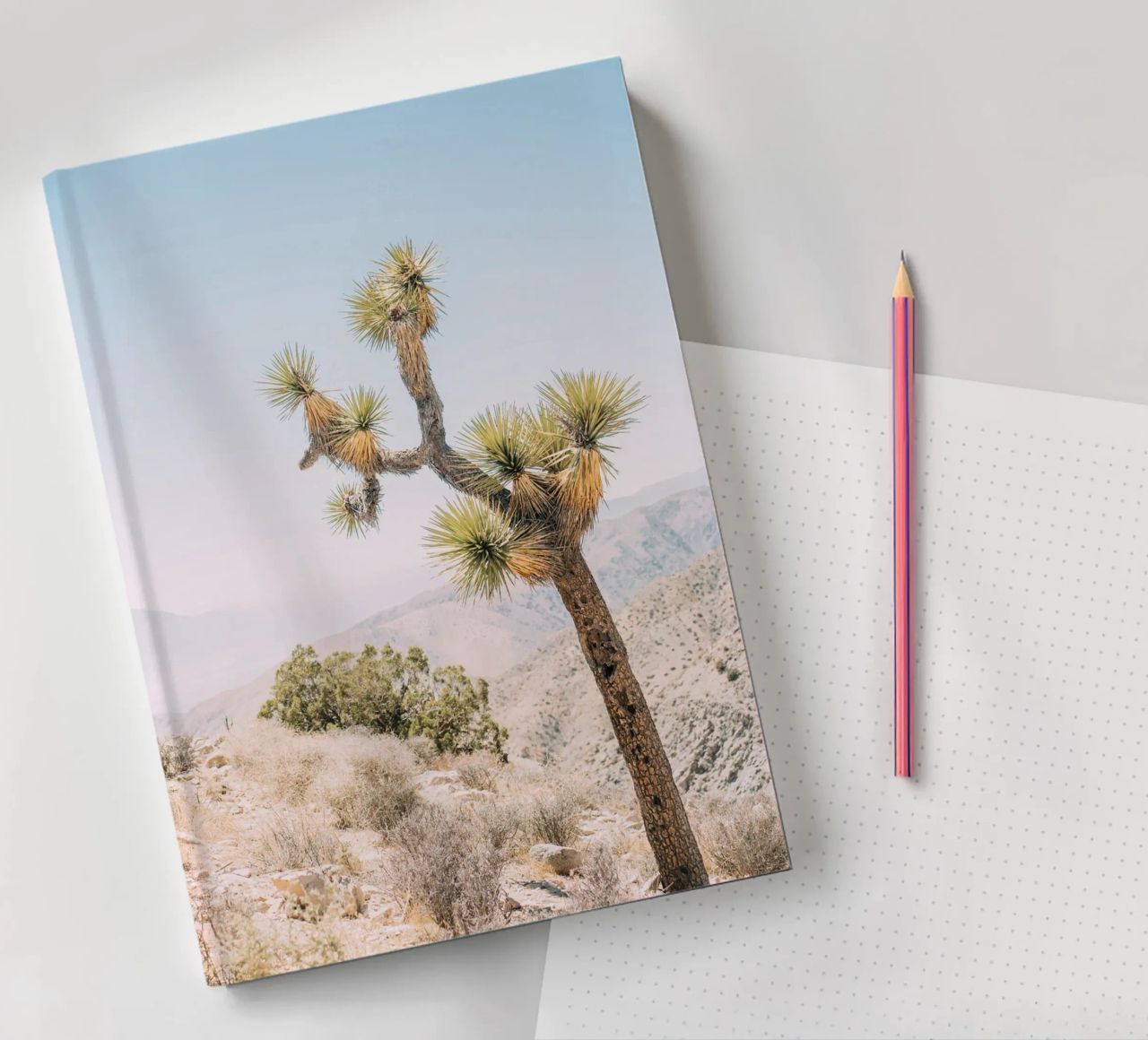 Joshua Tree diario da patiphotography
