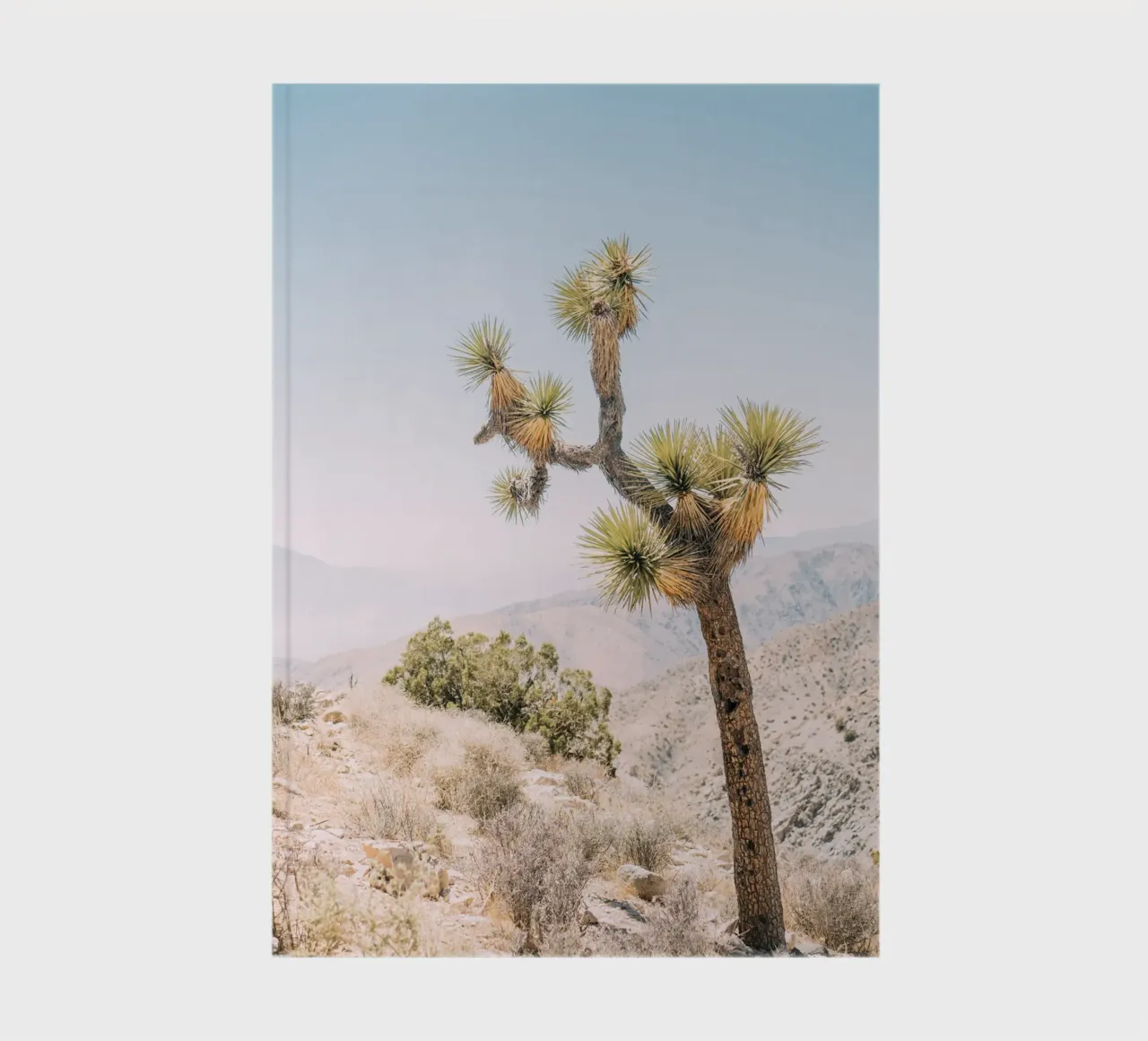 Joshua Tree Notizbuch von patiphotography