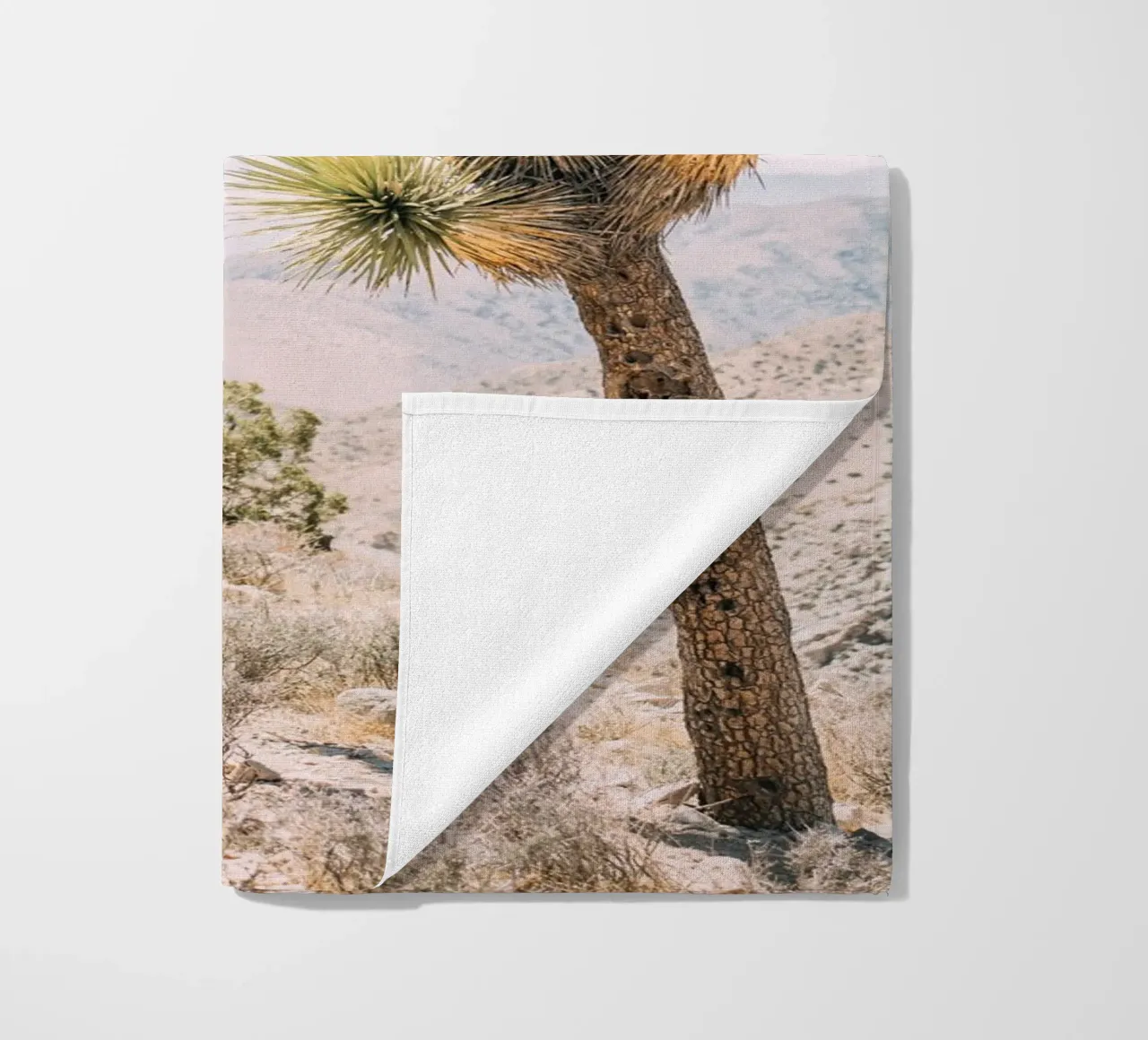 Joshua Tree telo mare da patiphotography