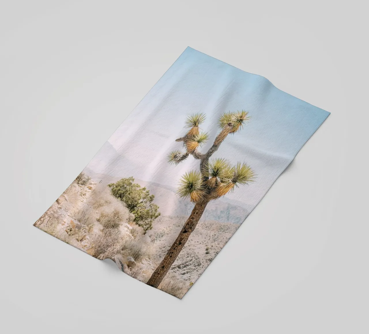 Joshua Tree Strandtuch von patiphotography