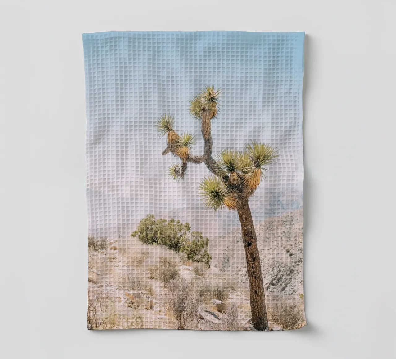 Joshua Tree canovaccio da cucina da patiphotography