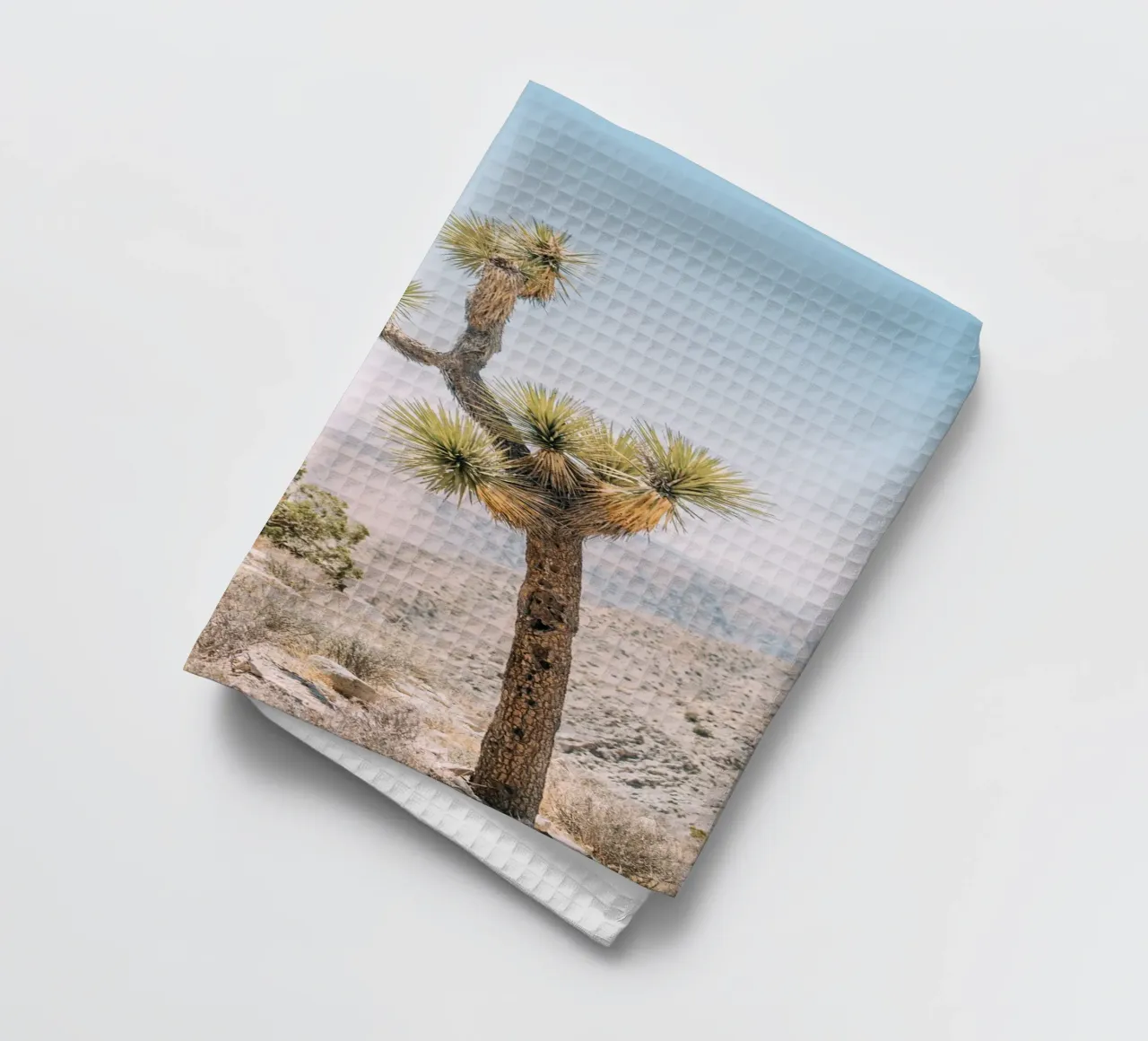 Joshua Tree canovaccio da cucina da patiphotography