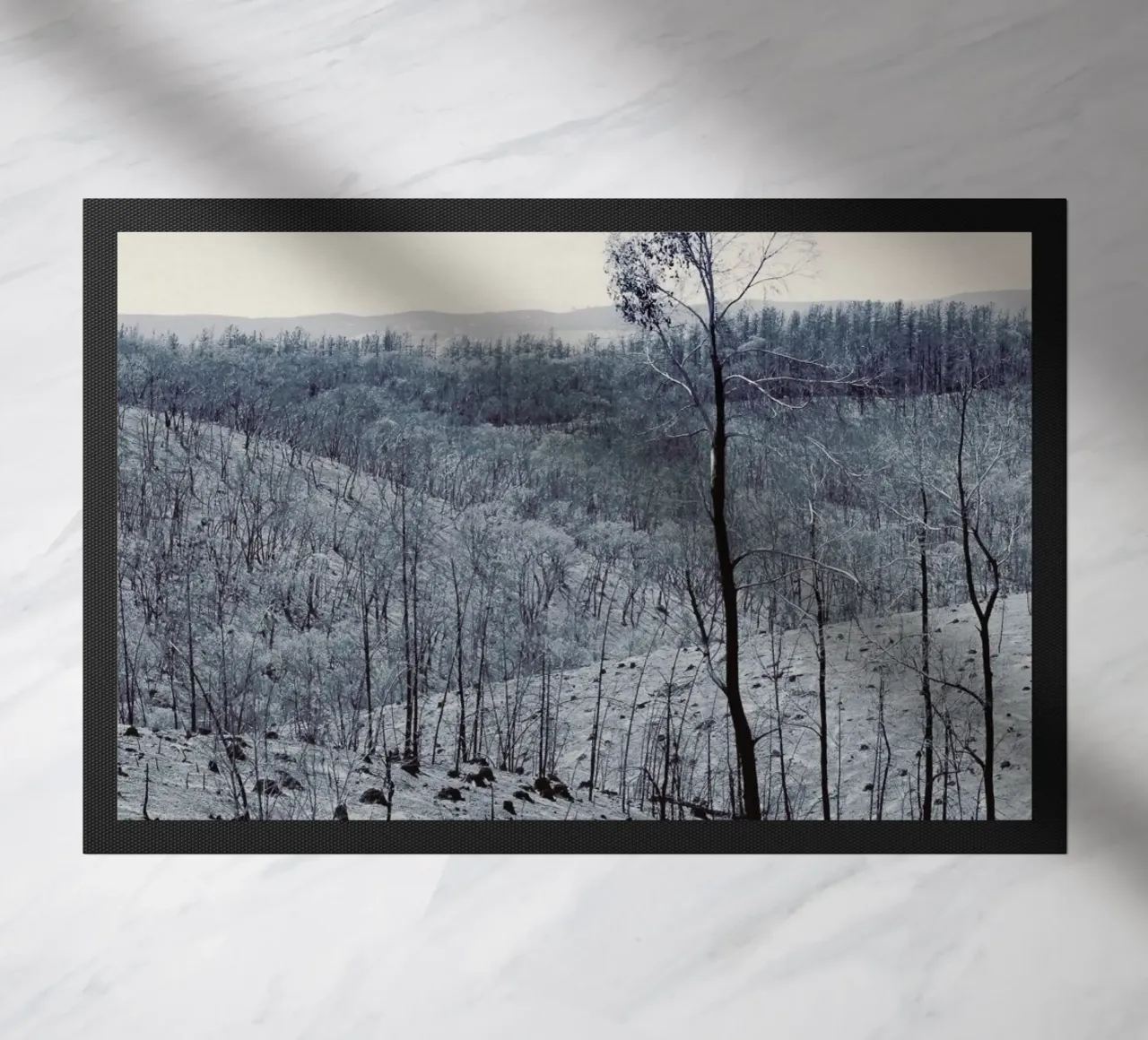 Sampson Flat Fire zerbino da Emma Zoe Brew