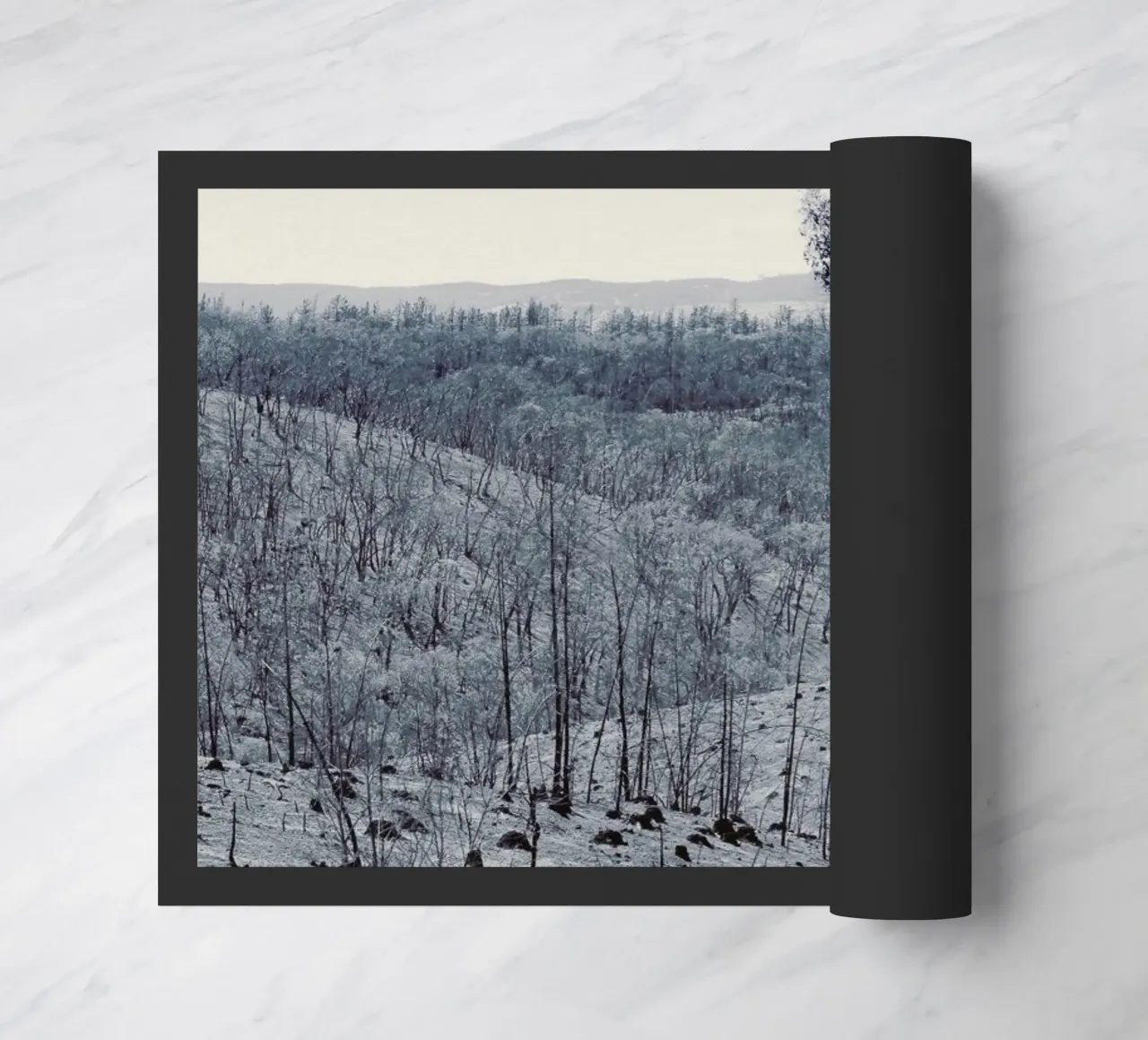 Sampson Flat Fire zerbino da Emma Zoe Brew