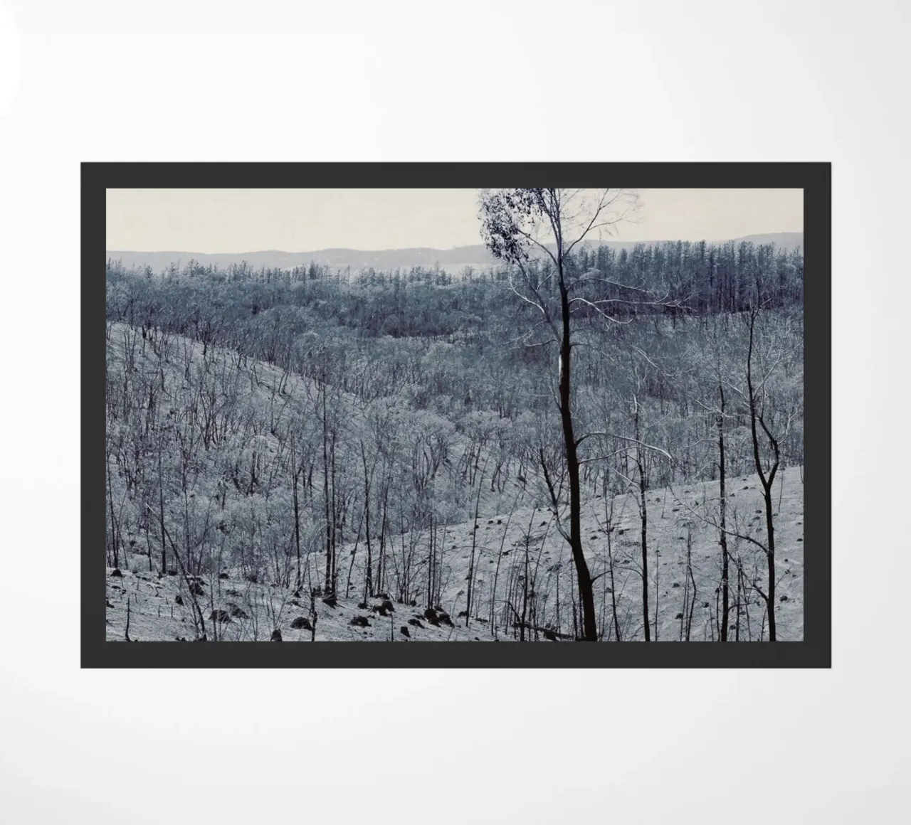 Sampson Flat Fire zerbino da Emma Zoe Brew