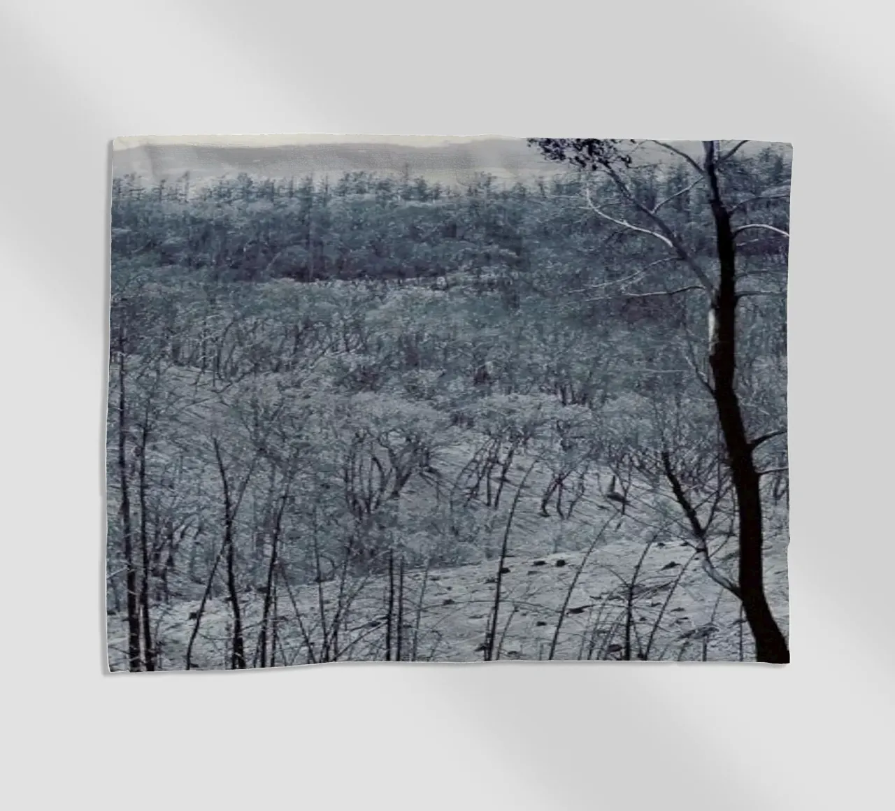 Sampson Flat Fire telo mare da Emma Zoe Brew