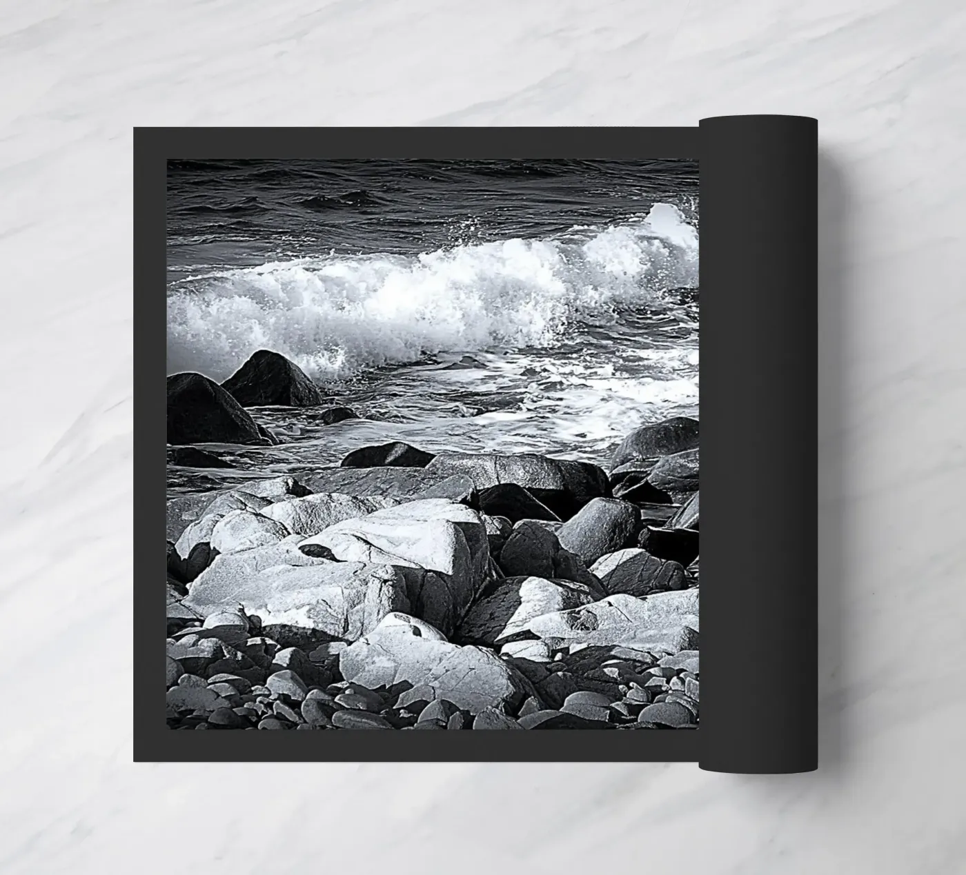 BW 16 zerbino da Thierry vobmann photography