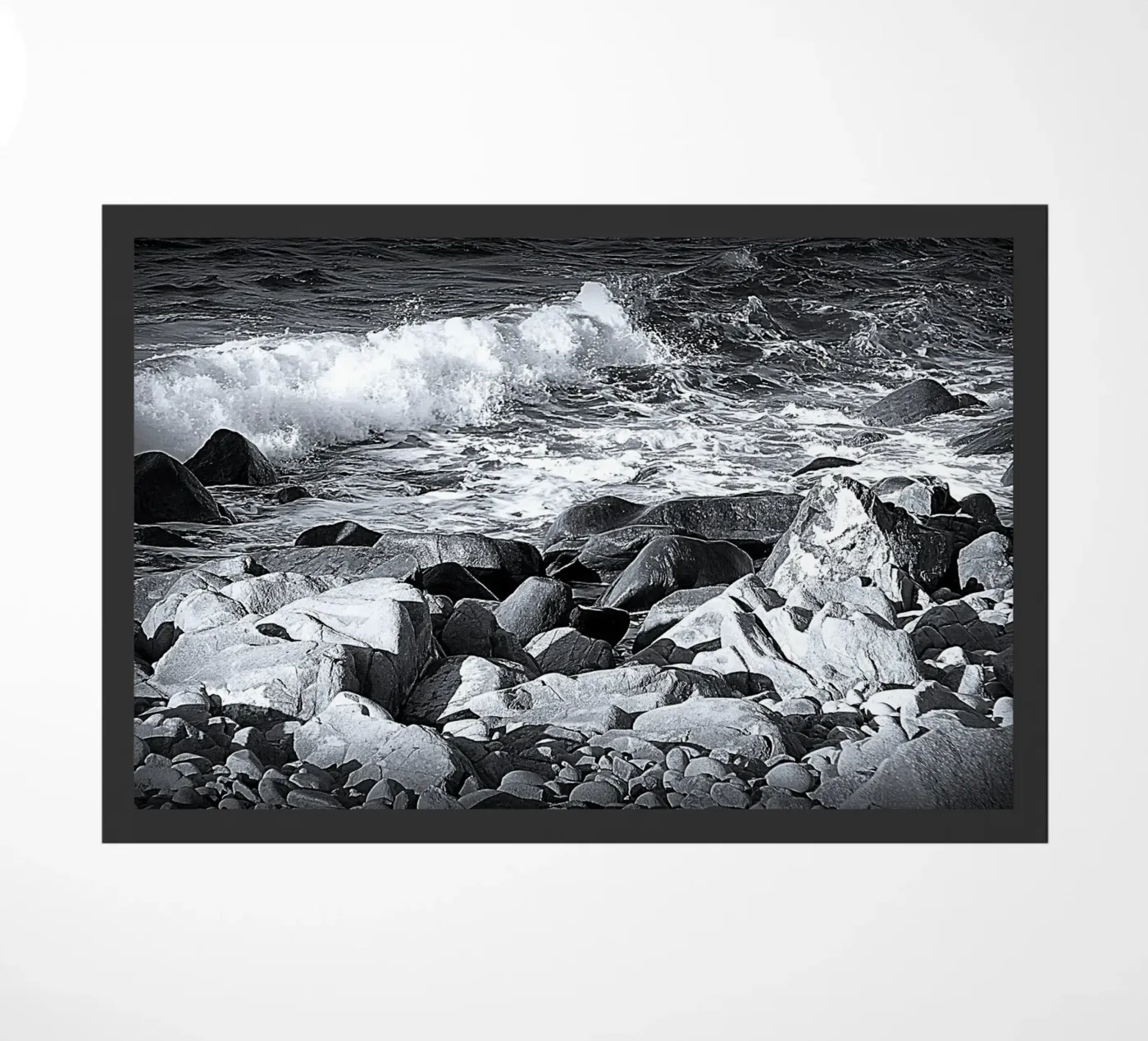 BW 16 zerbino da Thierry vobmann photography