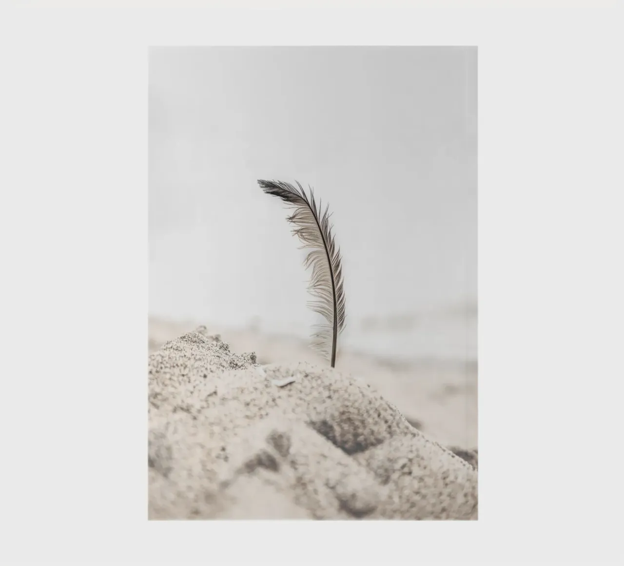 Feather in the sand - Gentle beach design notebook by Whole©
