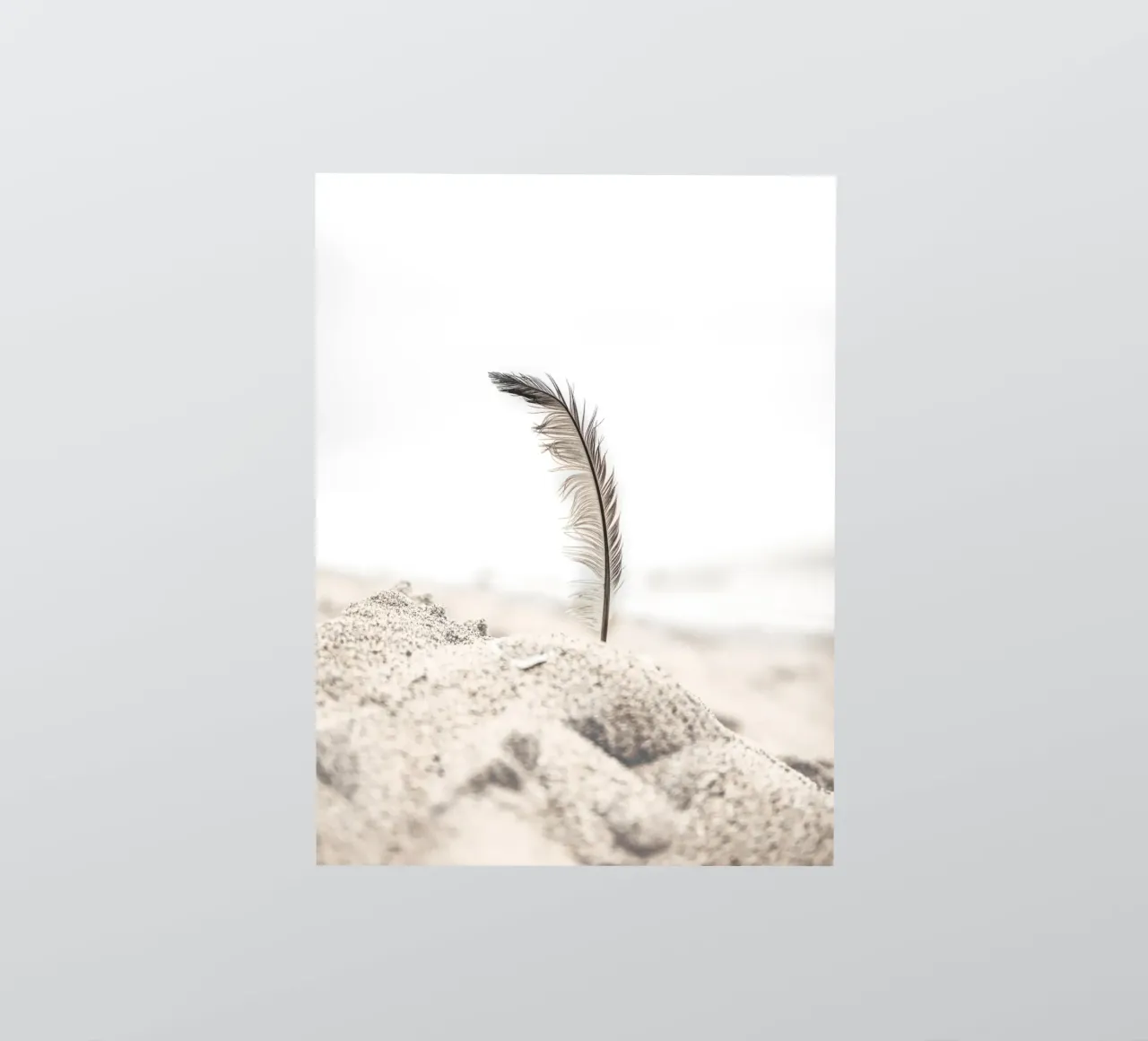 Feather in the sand - Gentle beach design sticker by Whole©