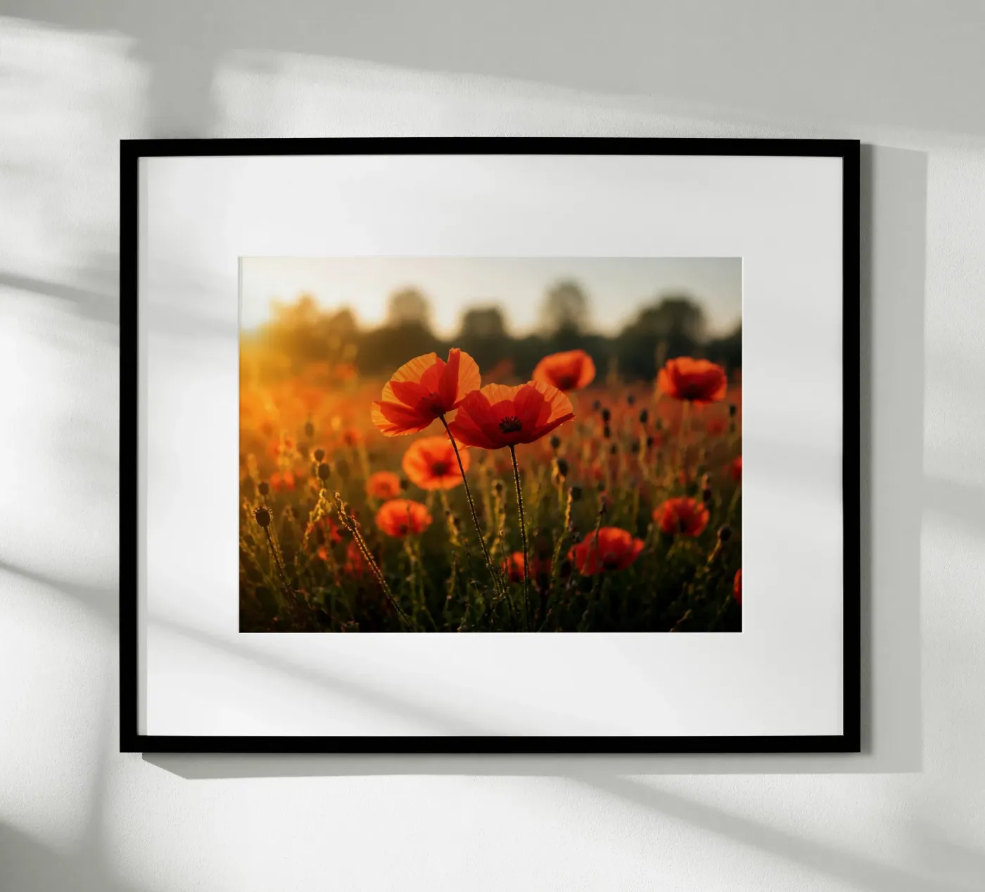 Mohnfeld Poster von Studio Reverie