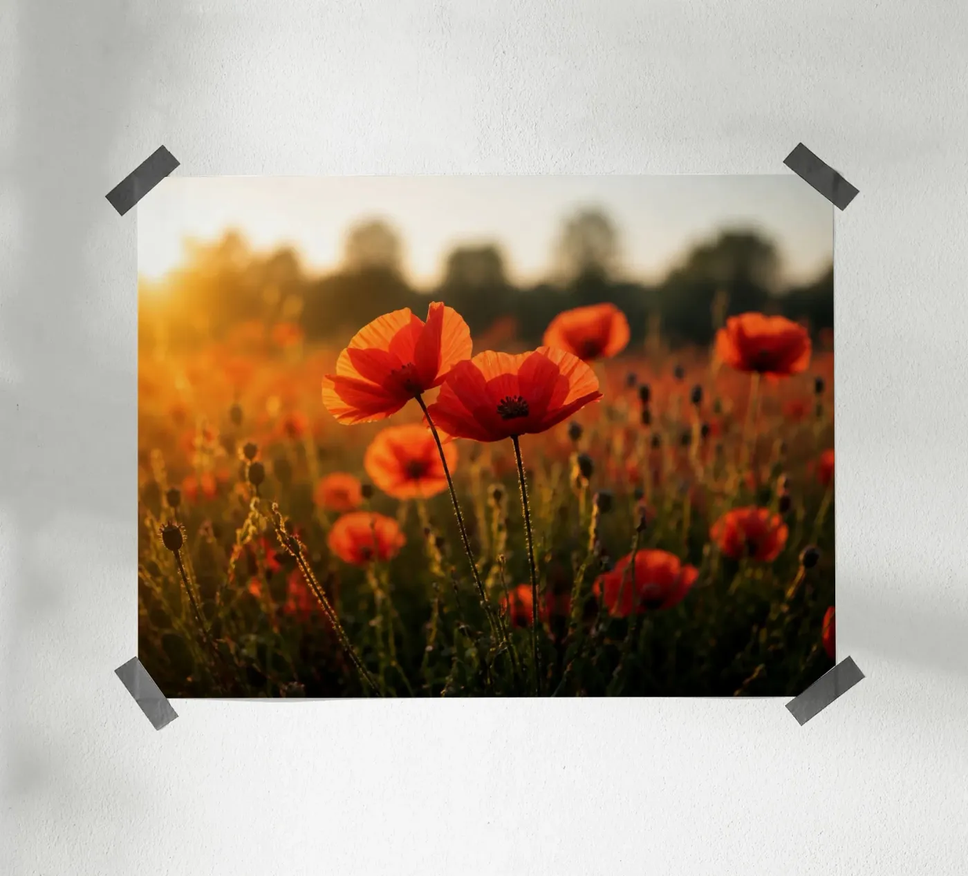 Mohnfeld Poster von Studio Reverie