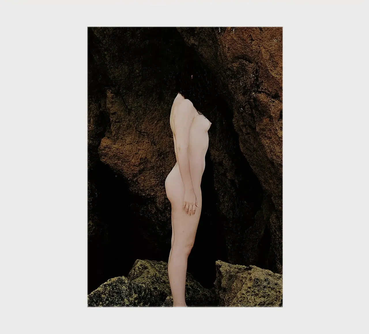 Nature Of Traction I notebook by Dani L.