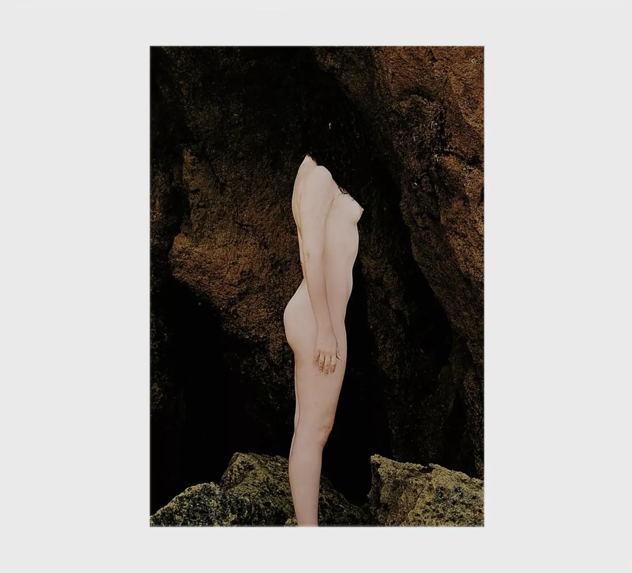 Nature Of Traction I notebook by Dani L.