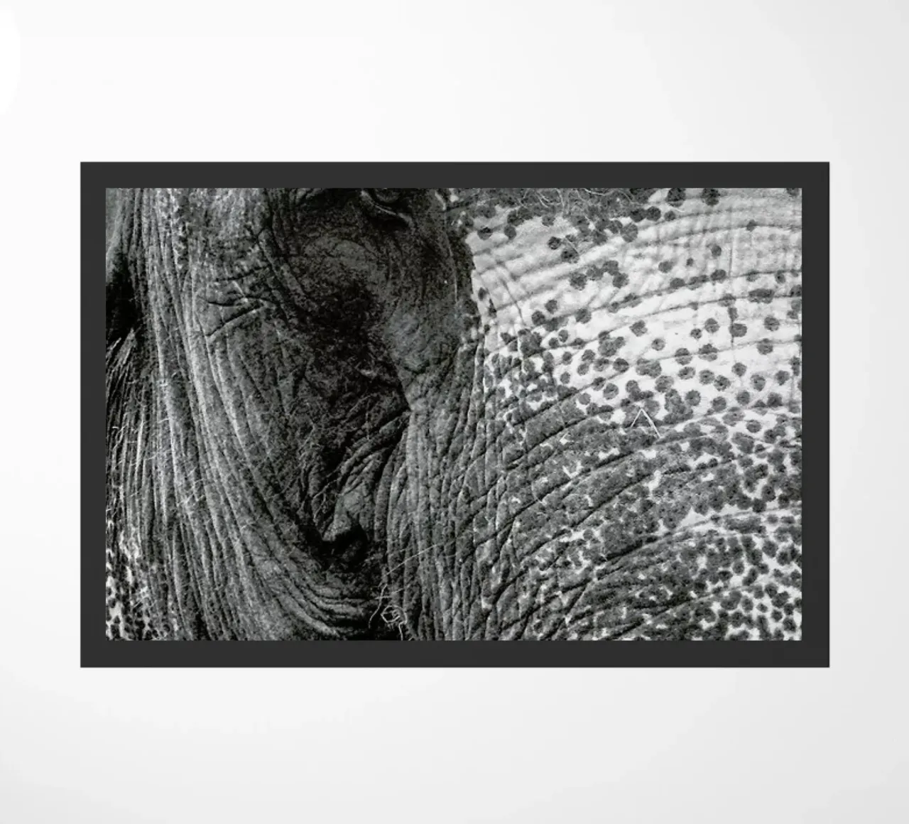 Elephant doormat by Victoria Frost