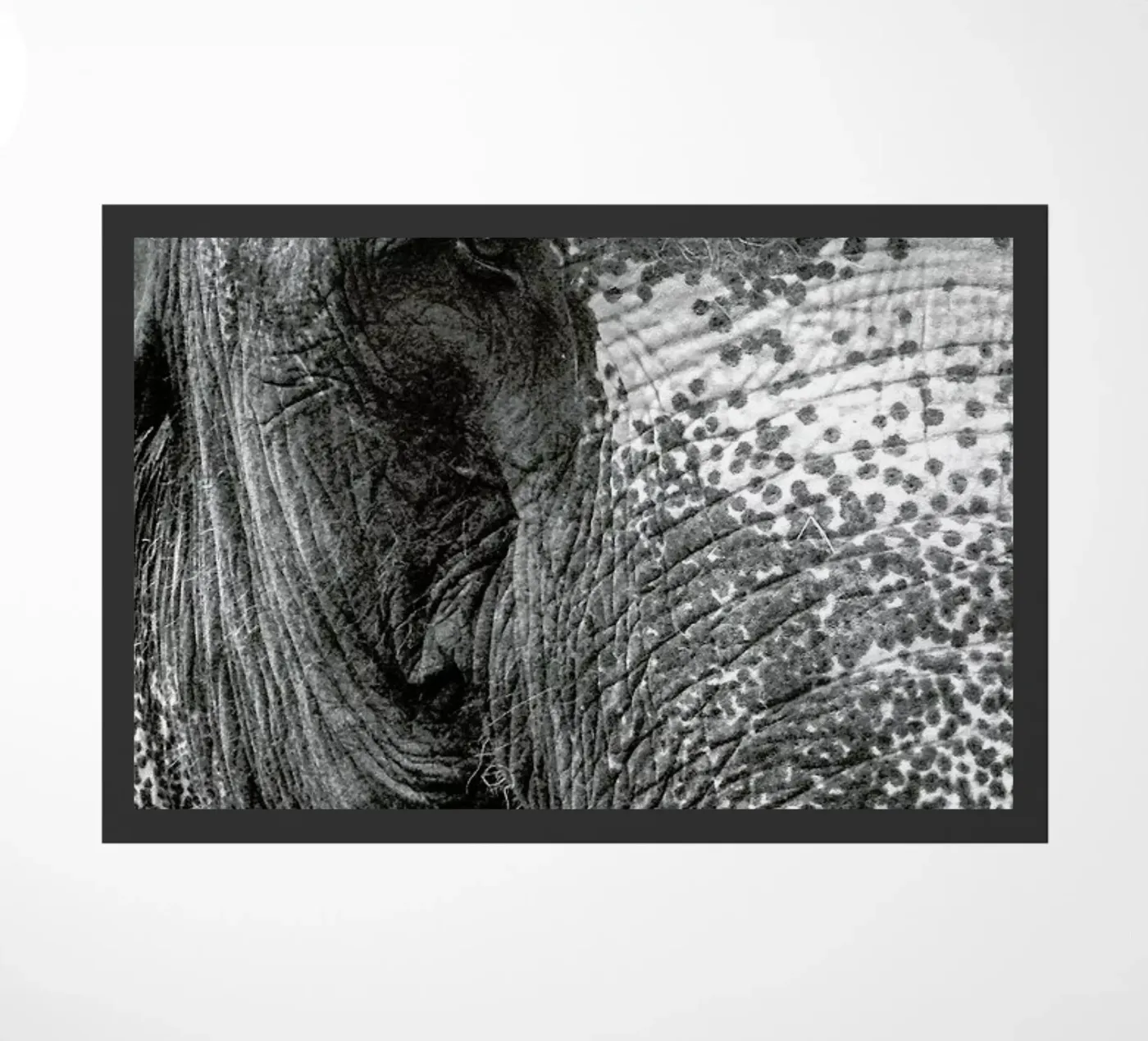 Elephant doormat by Victoria Frost