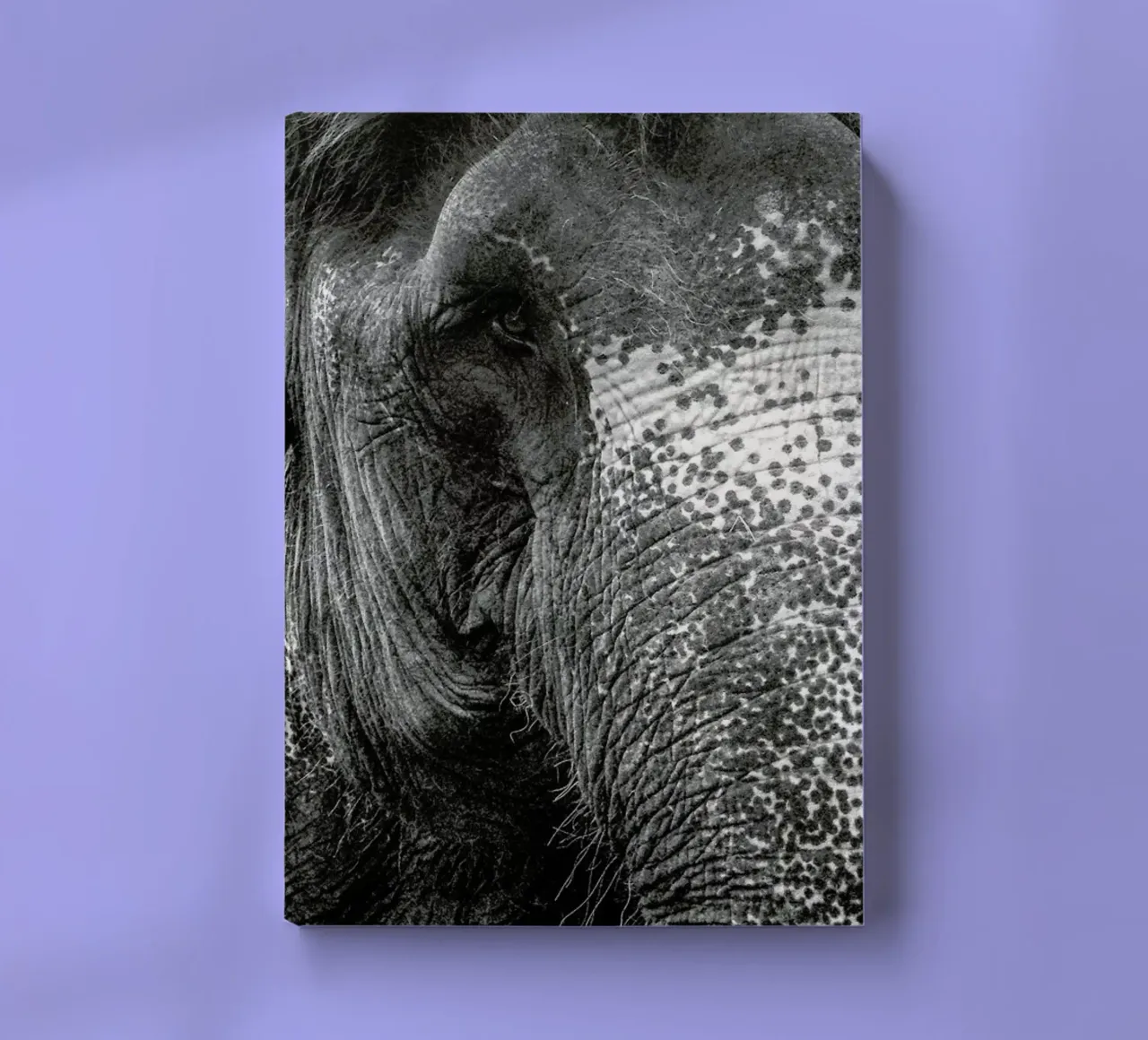 Elephant notebook by Victoria Frost