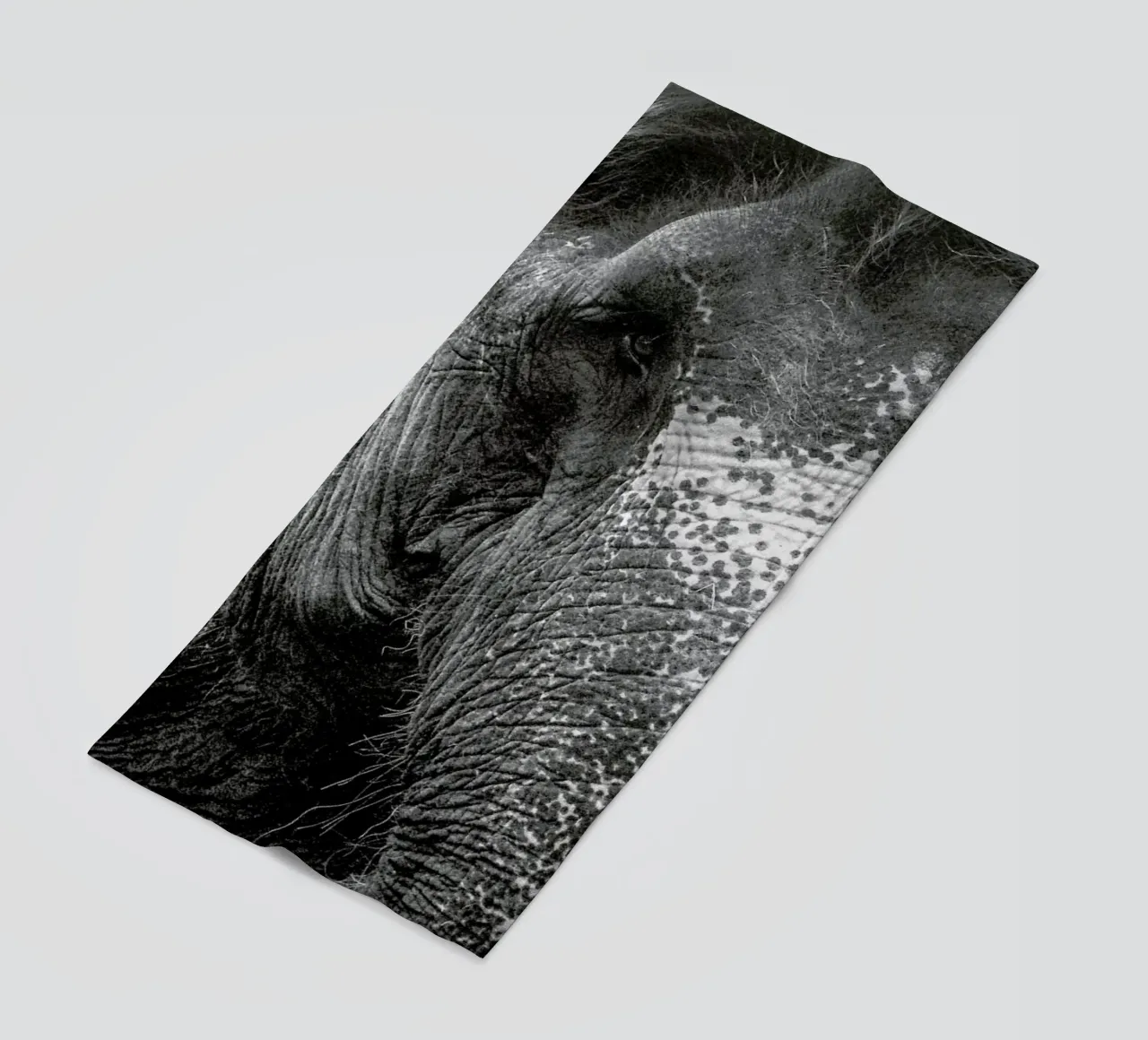 Elephant telo mare da Victoria Frost