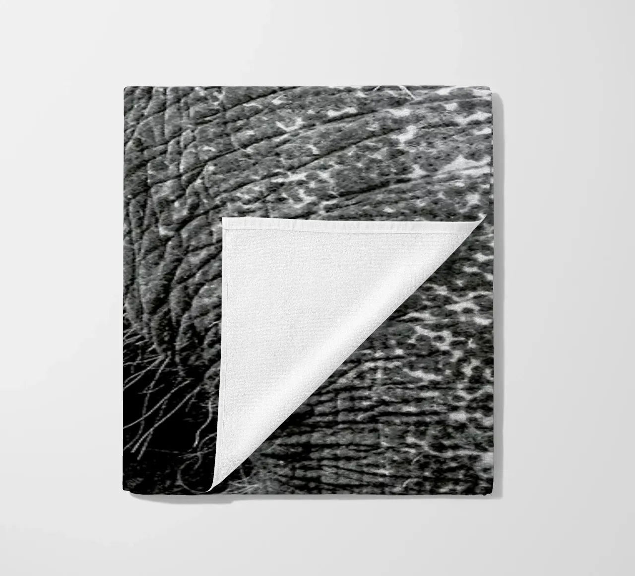 Elephant telo mare da Victoria Frost