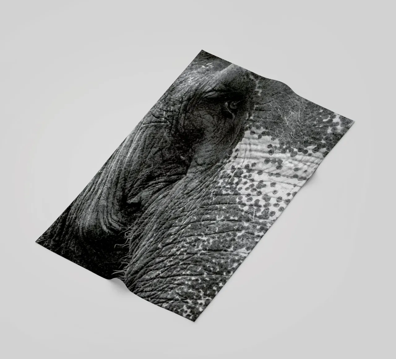 Elephant telo mare da Victoria Frost