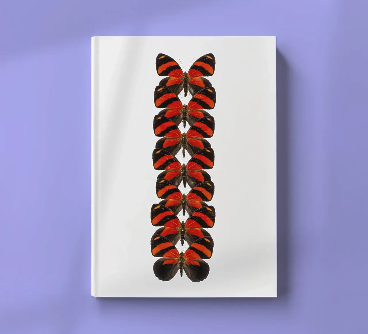 Radiant Red: Little Butterflies notebook by Curious Collections by Marielle Leenders