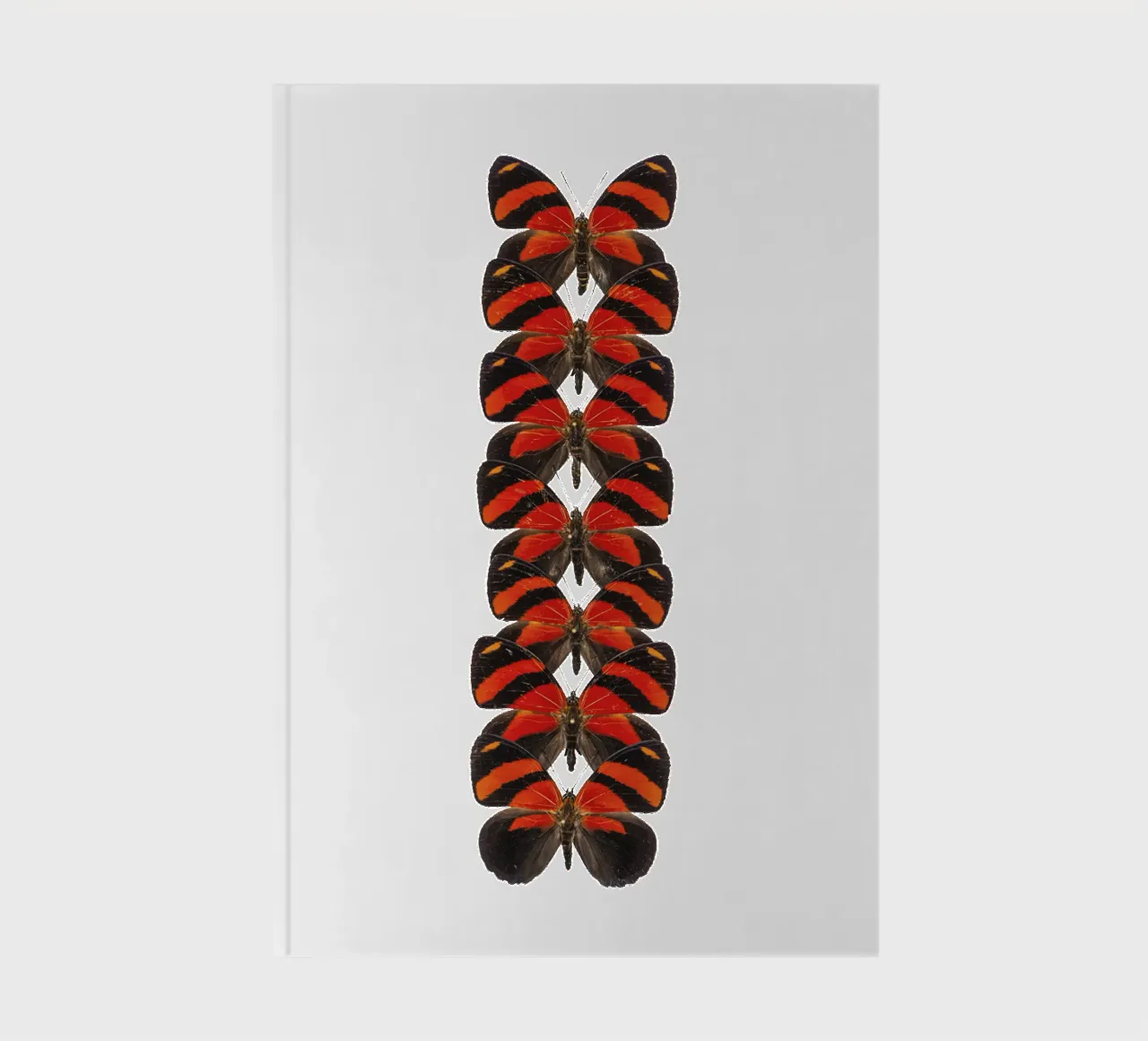 Radiant Red: Little Butterflies notebook by Curious Collections by Marielle Leenders