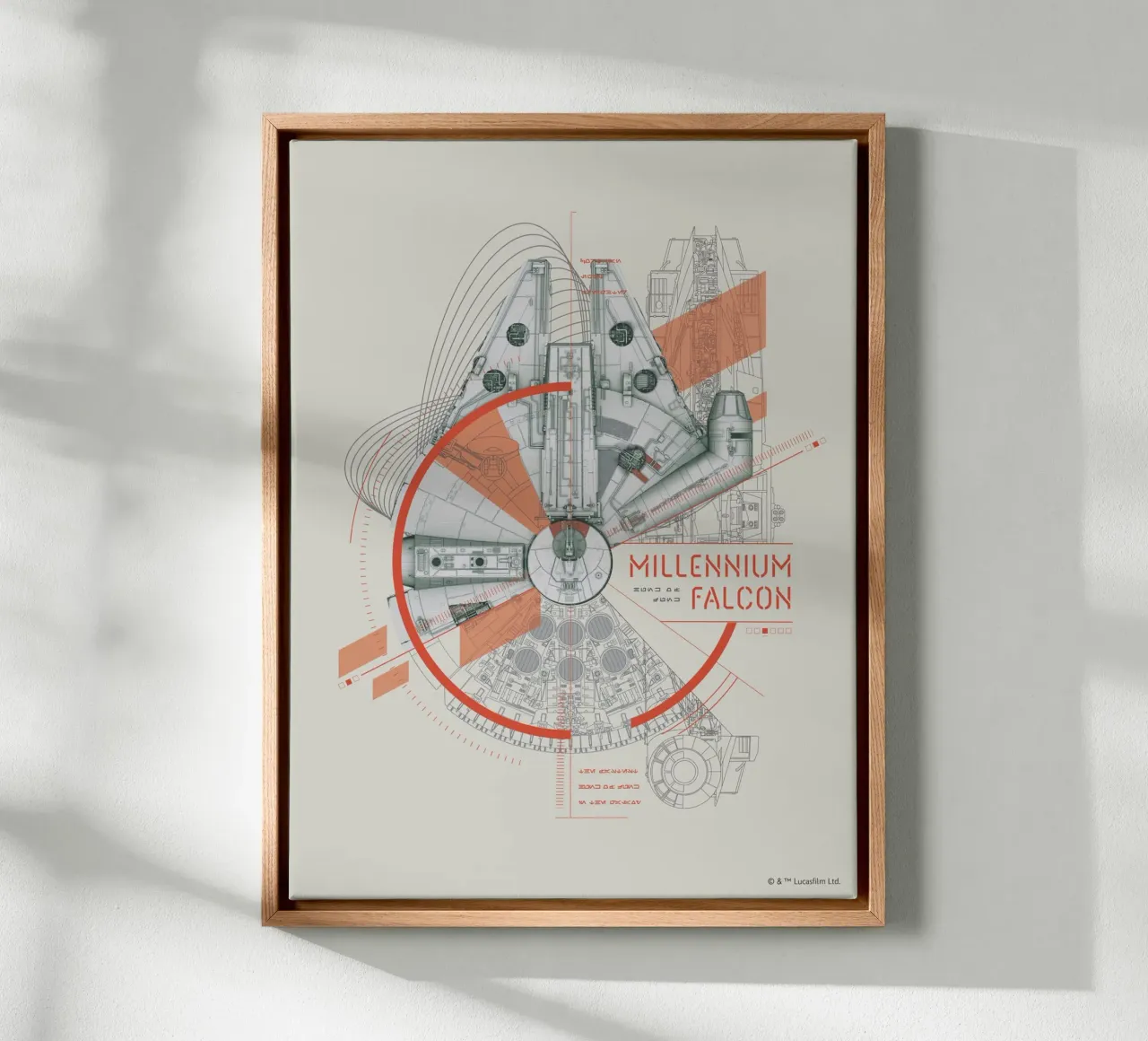 MILLENNIUM FALCON canvas by Star Wars