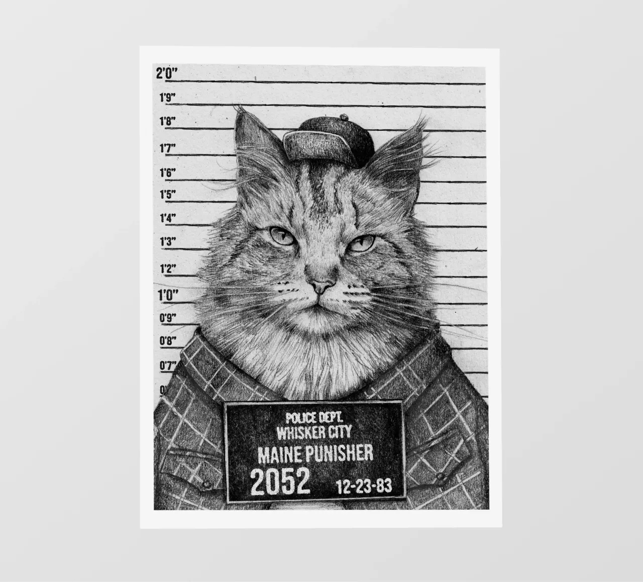 Il Punitore del Maine - Un felino con un'attitudine pellicola backlit da mikekoubou