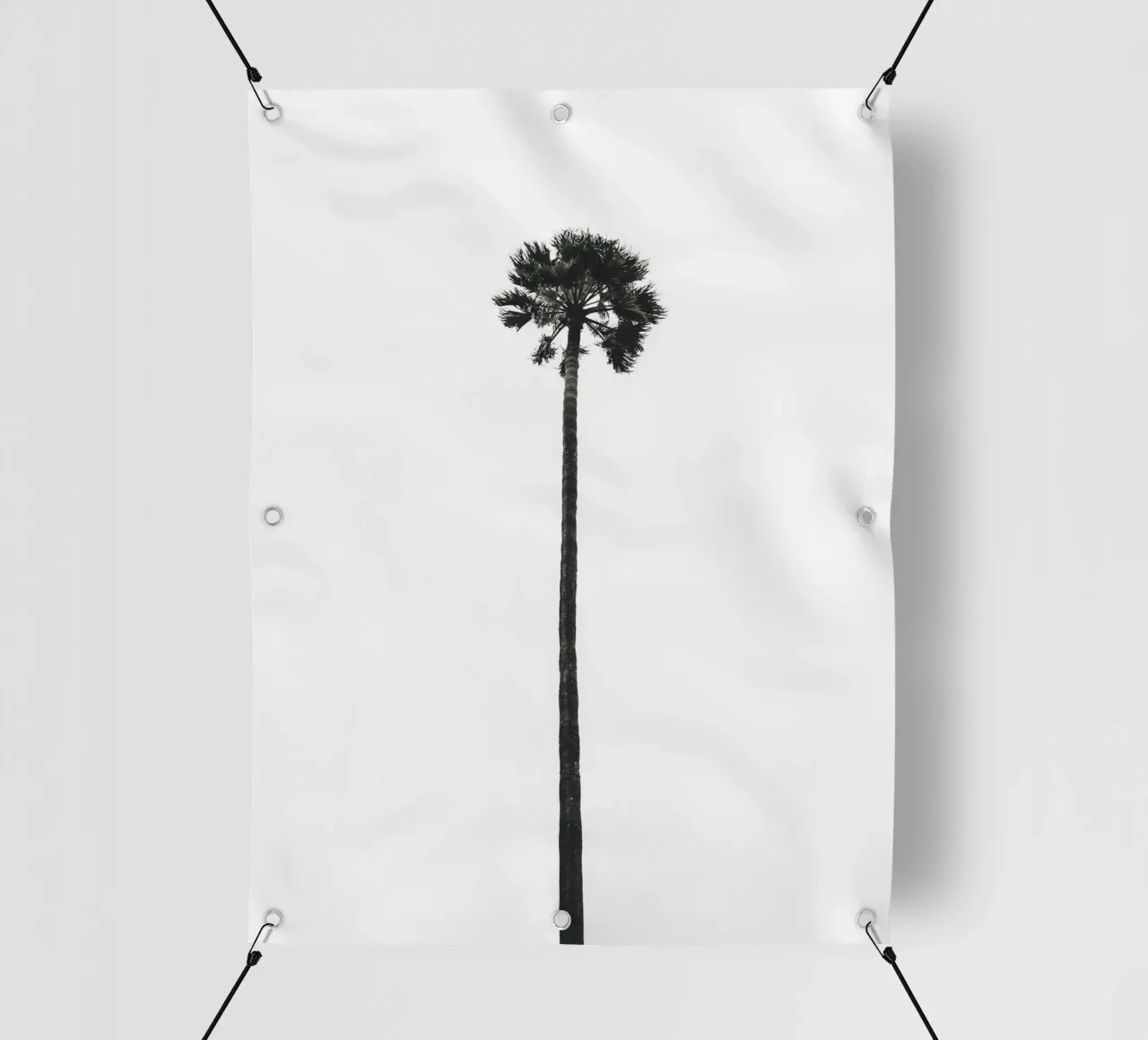 Minimal Palm - Calma tropicale in bianco e nero telo in pvc da Whole©