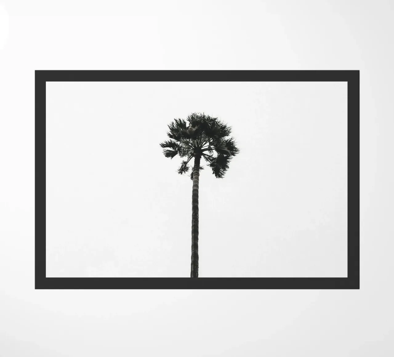 Minimal Palm - Calma tropicale in bianco e nero zerbino da Whole©