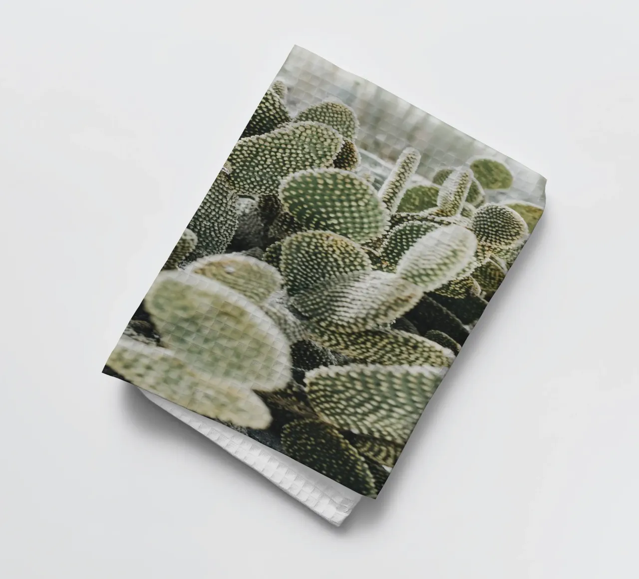 Desert Cactus – Modernes Naturmotiv in Grün Geschirrtuch von Whole©