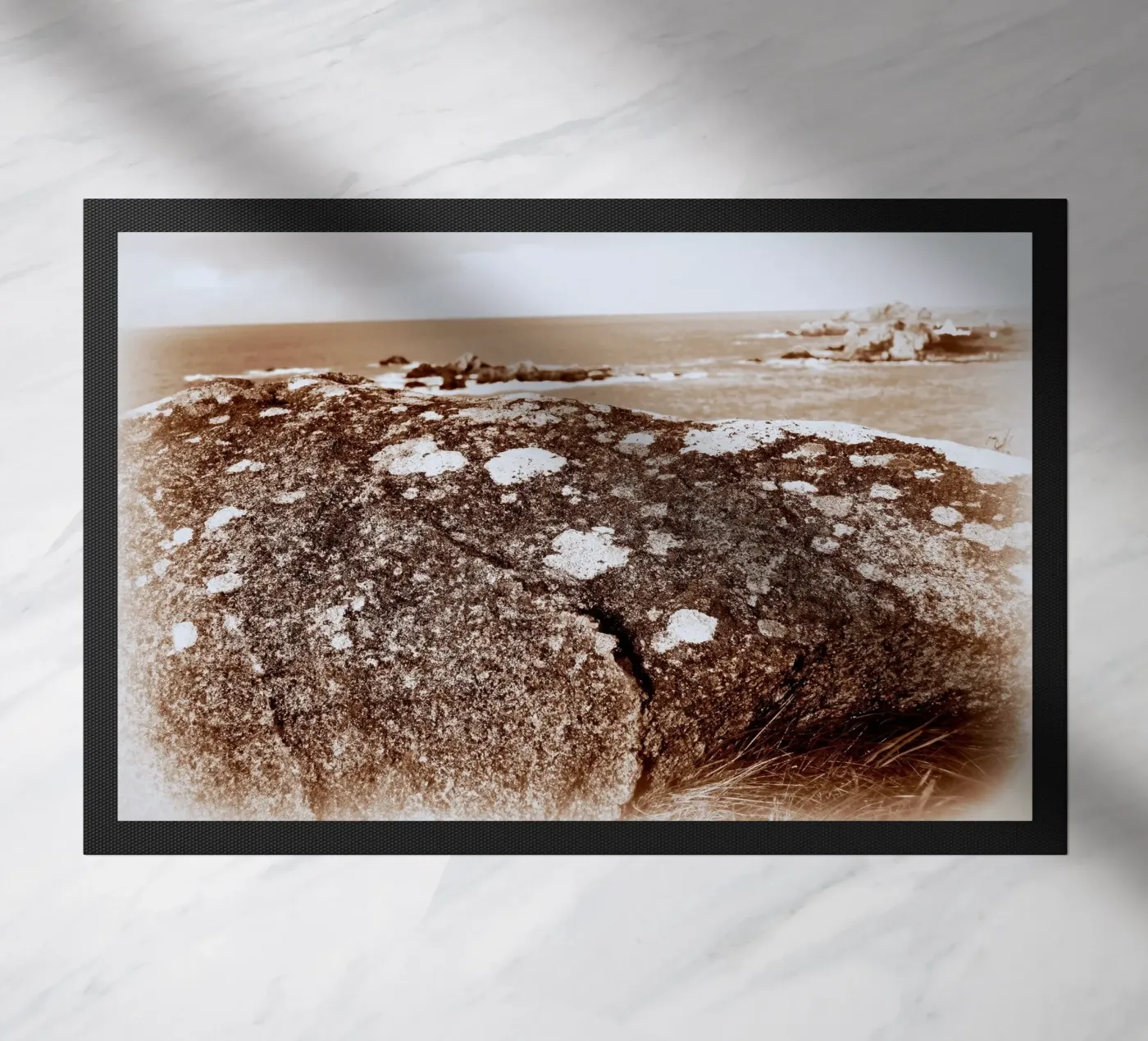 FAA88 zerbino da Thierry vobmann photography