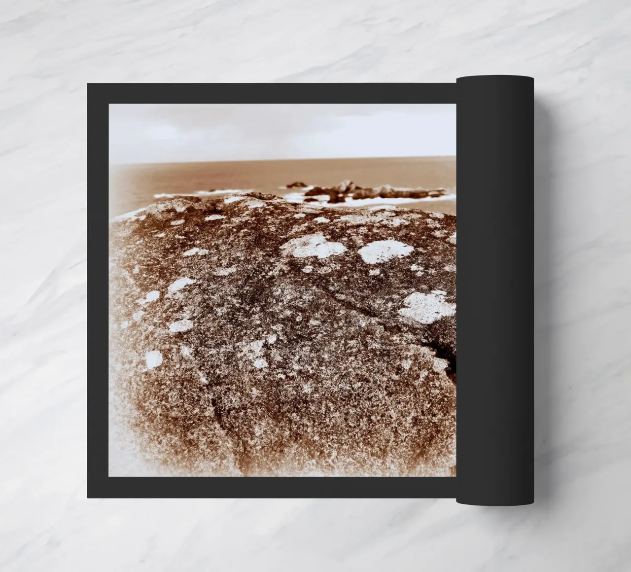 FAA88 zerbino da Thierry vobmann photography