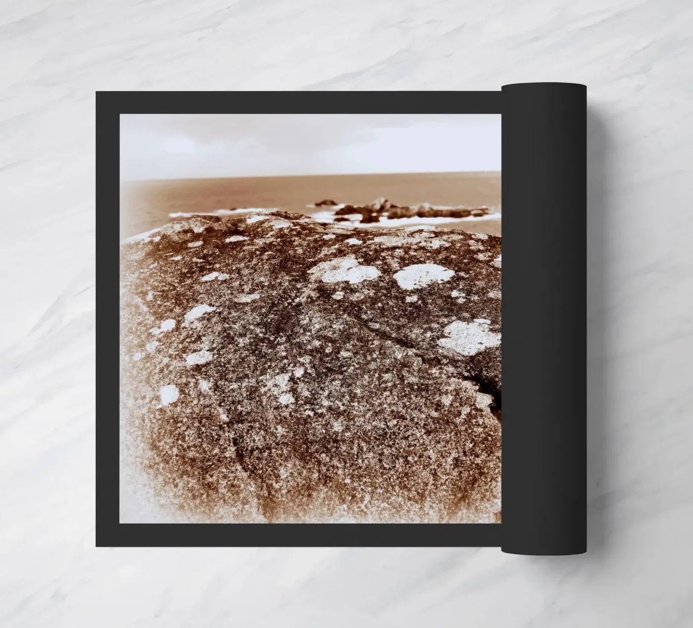 FAA88 zerbino da Thierry vobmann photography