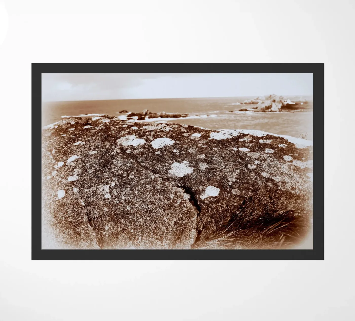 FAA88 zerbino da Thierry vobmann photography