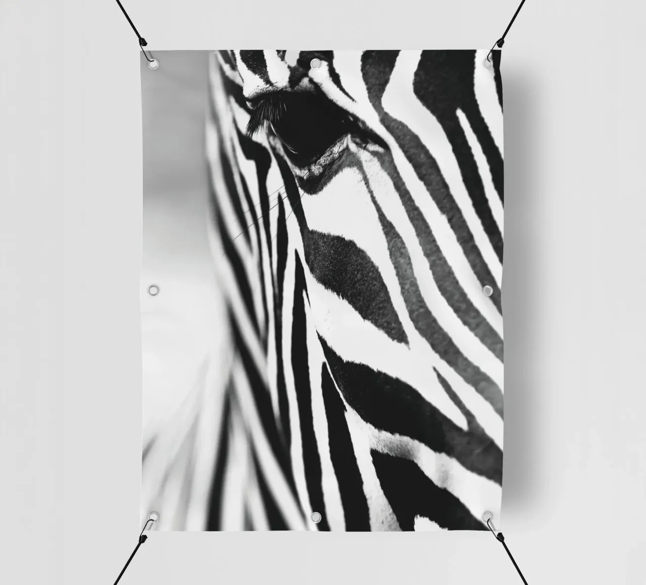 Zebra close-up art - Design moderno in bianco e nero telo in pvc da Whole©