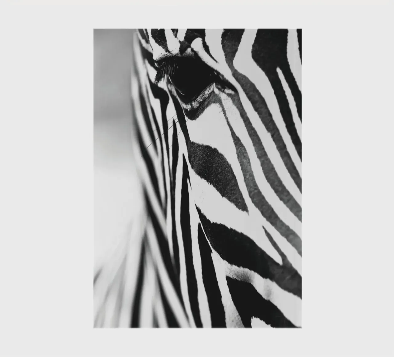 Zebra close-up art - Modern black and white design notebook by Whole©