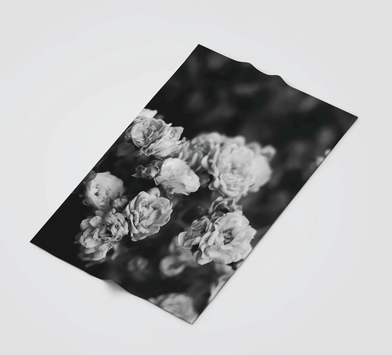 Rose vintage - splendore floreale senza tempo in bianco e nero coperta in pile da Whole©