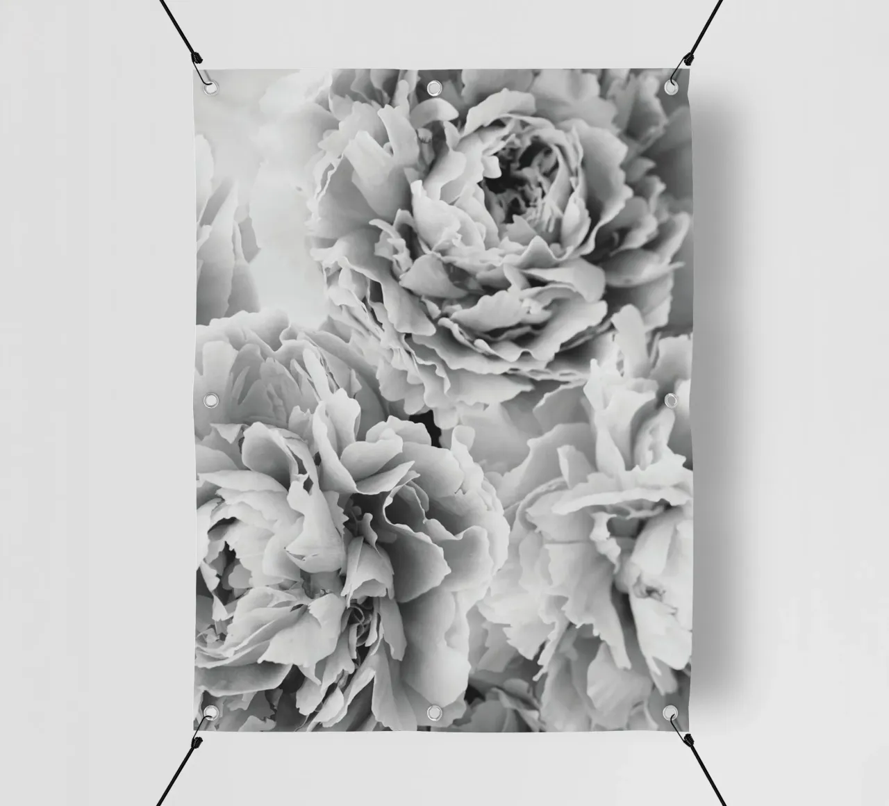 Splendore di peonia - Eleganti fiori bianchi e neri telo in pvc da Whole©