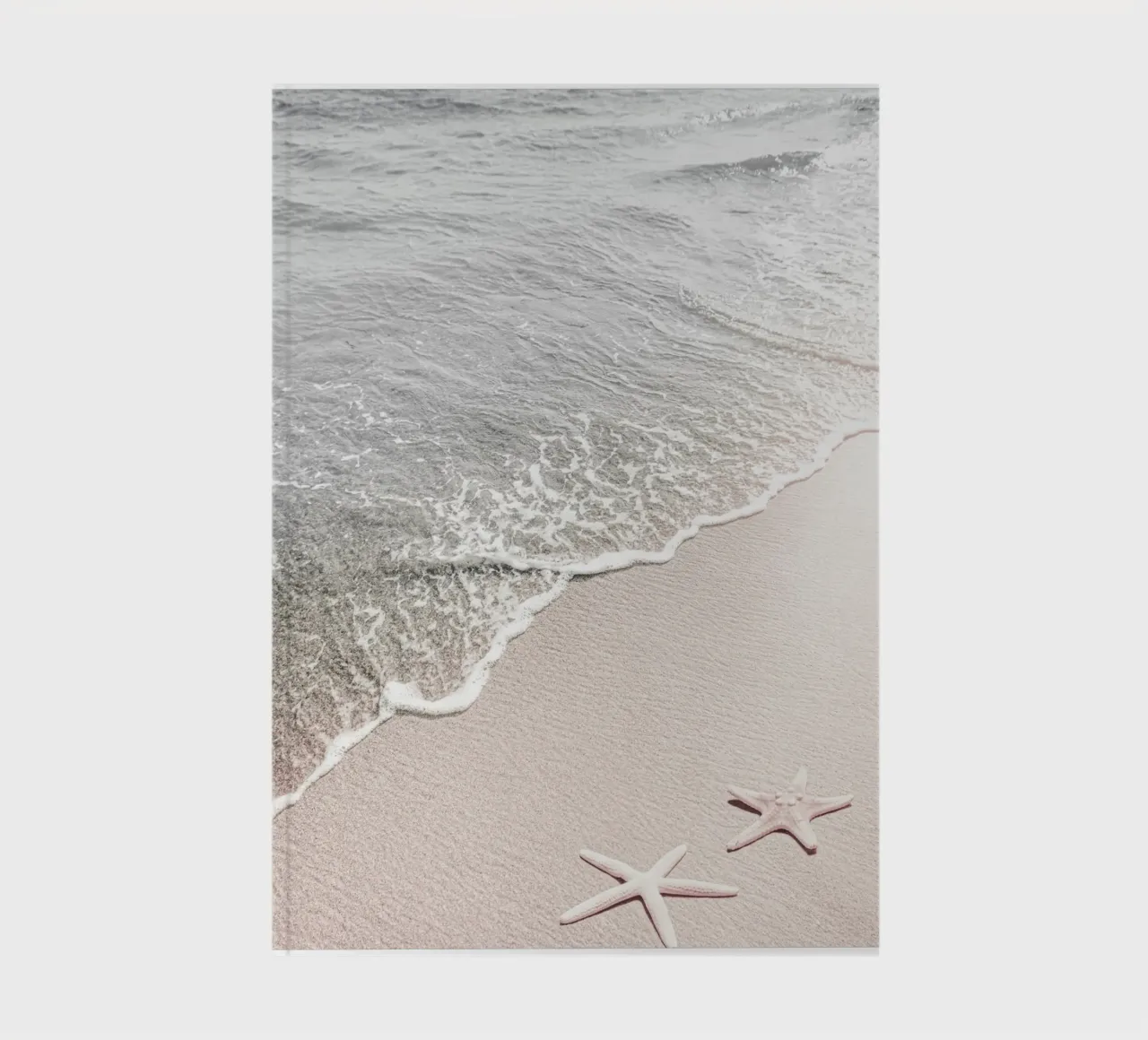 Plage douce avec étoiles de mer carnet de notes de Whole©