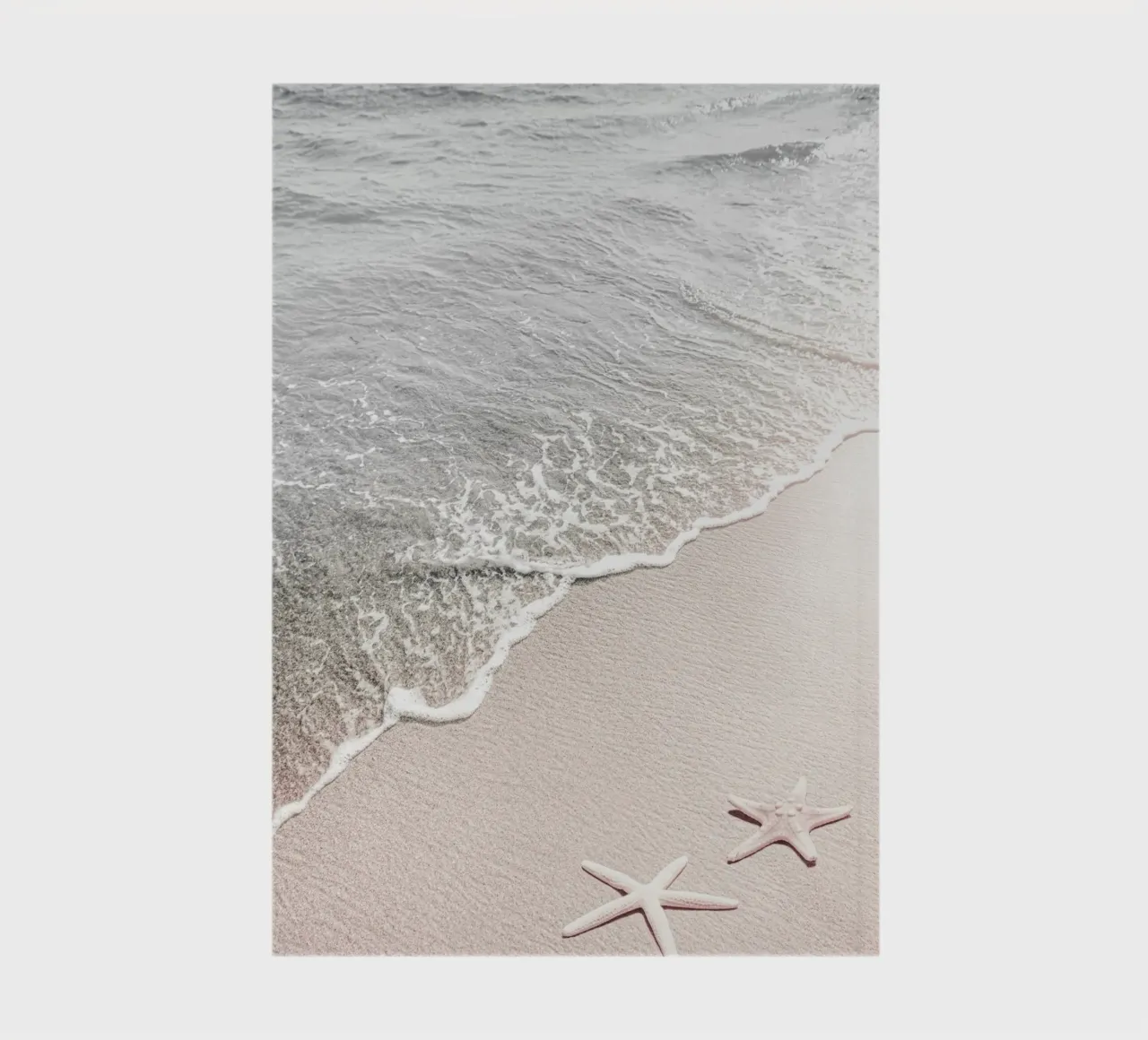 Plage douce avec étoiles de mer carnet de notes de Whole©
