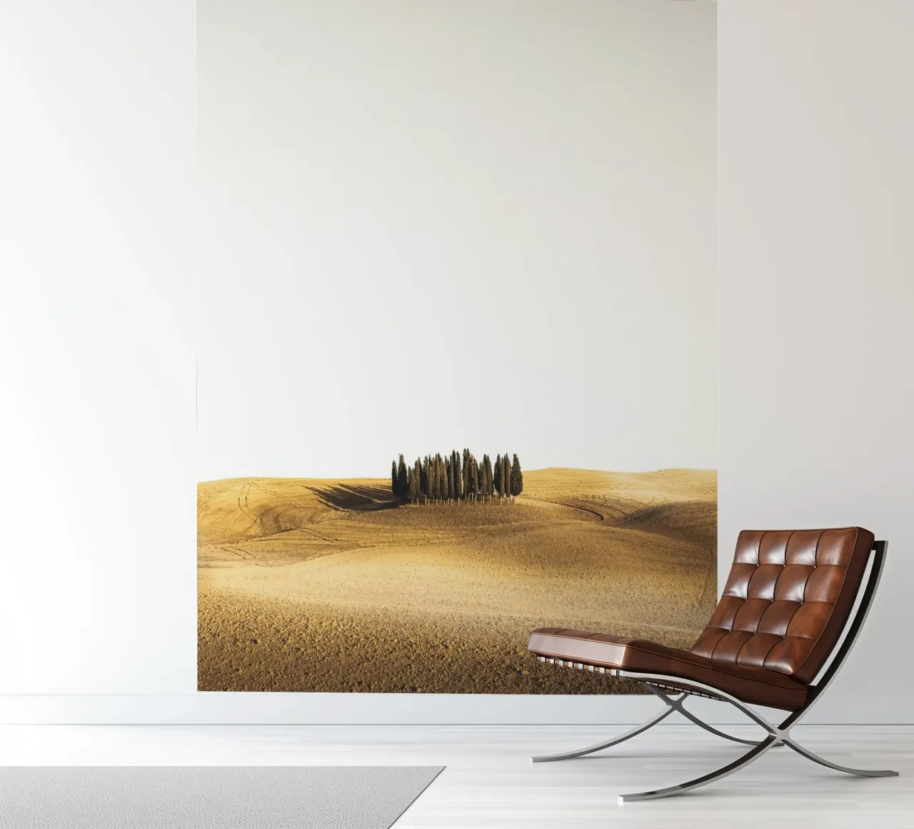 Tuscany landscape - Cypresses in the evening light photo wallpaper by Whole©