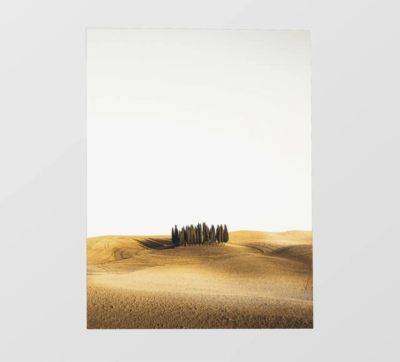 Tuscany landscape - Cypresses in the evening light photo wallpaper by Whole©