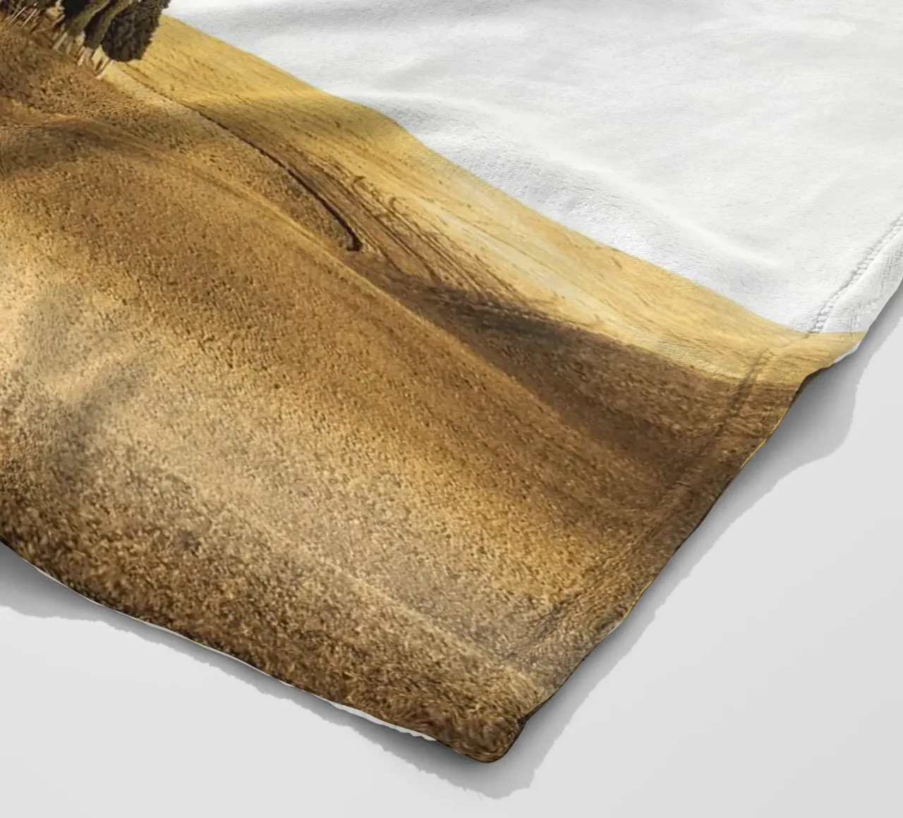 Paesaggio toscano - Cipressi nella luce della sera coperta in pile da Whole©