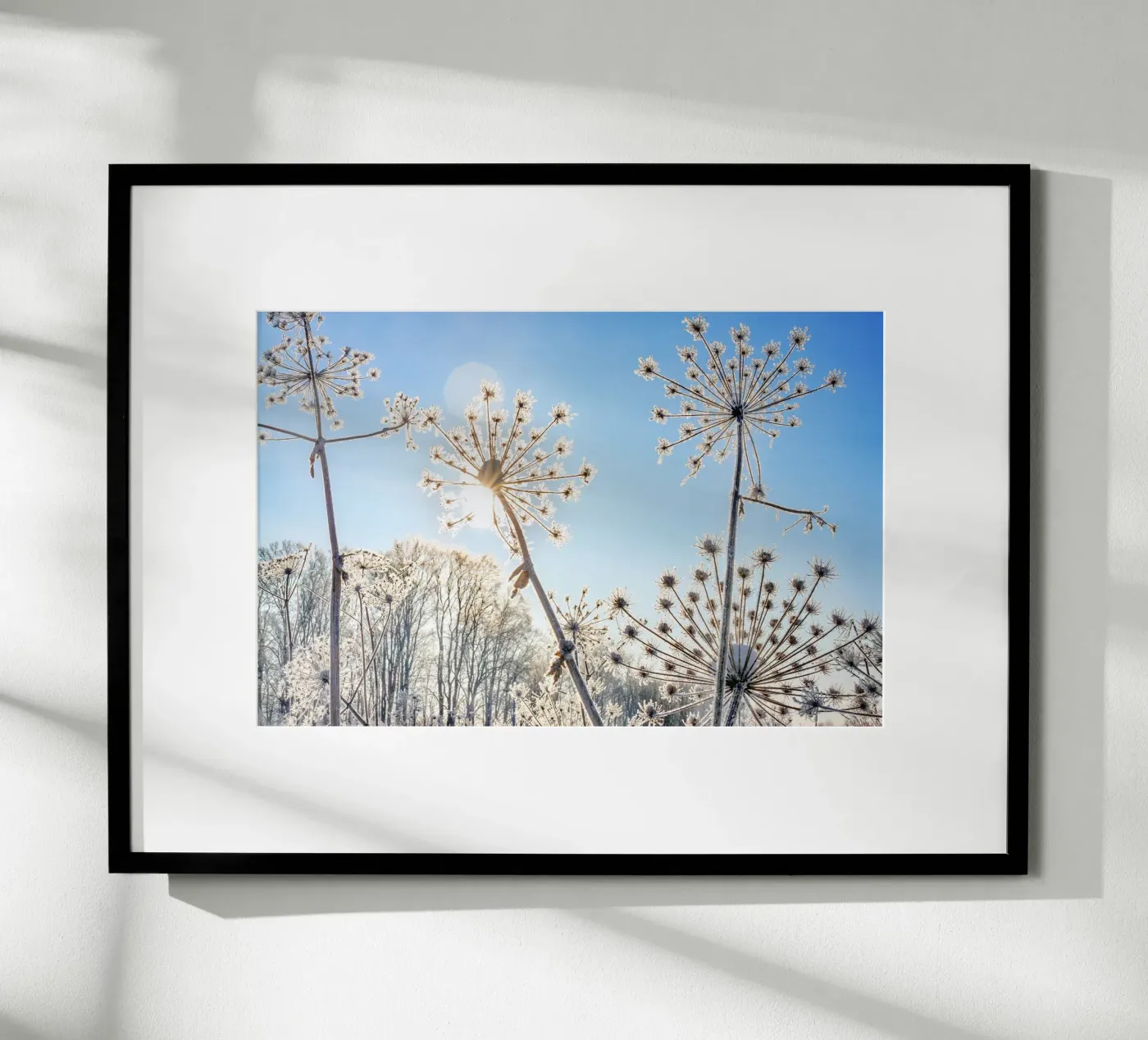 Winterblumen Poster von Tamsen Art