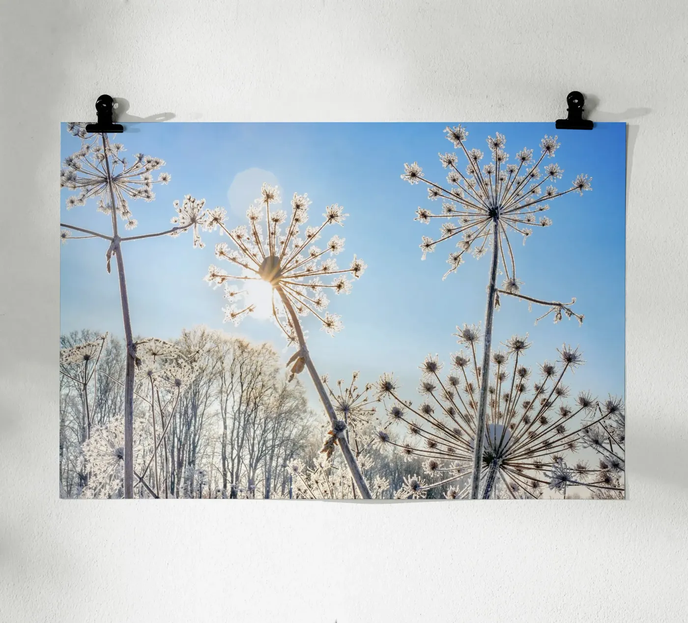 Winterblumen Poster von Tamsen Art