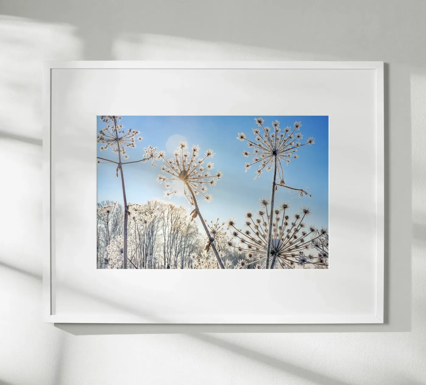 Winterblumen Poster von Tamsen Art