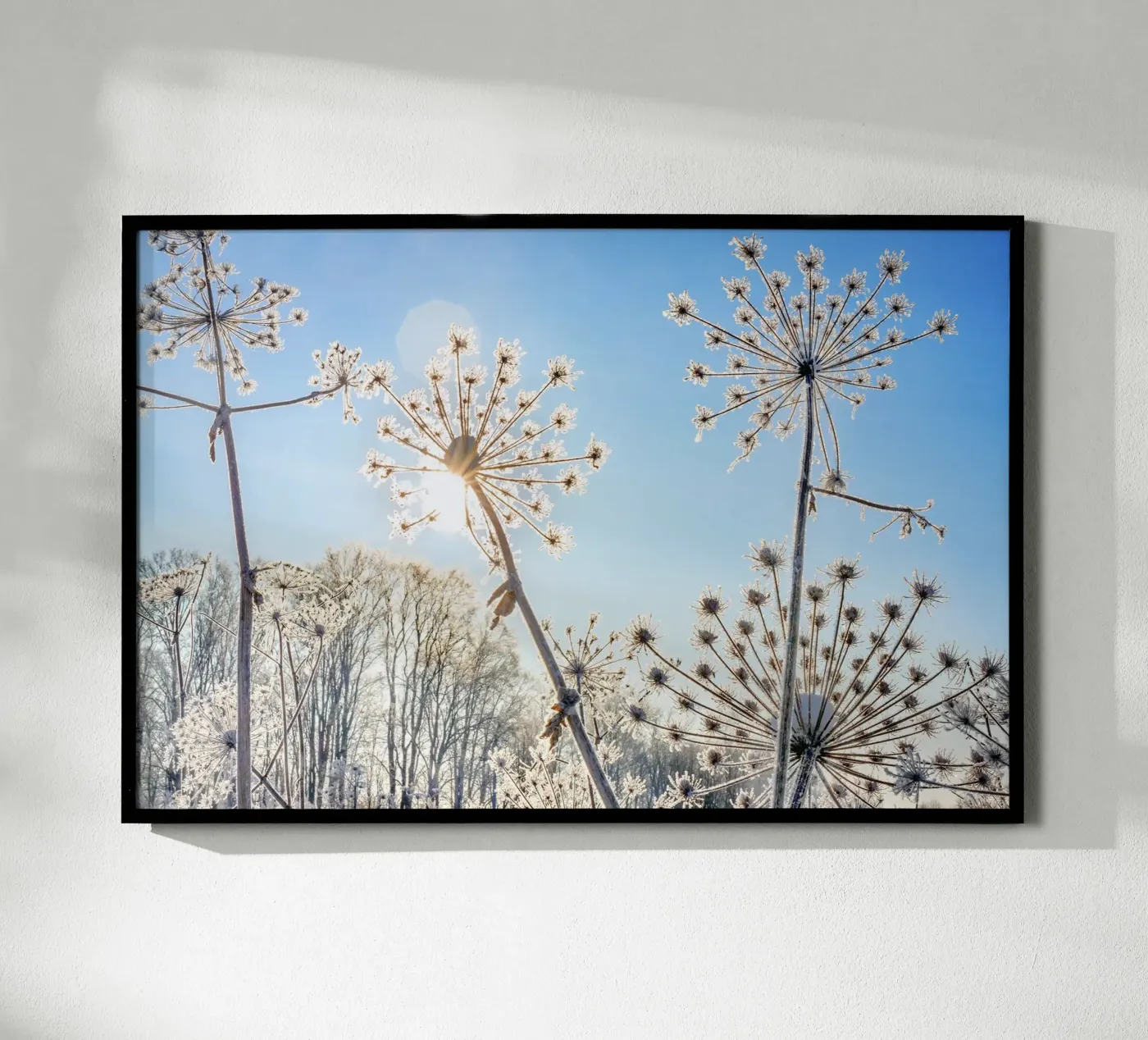 Winterblumen Poster von Tamsen Art