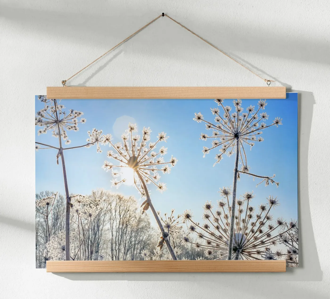 Winterblumen Poster von Tamsen Art