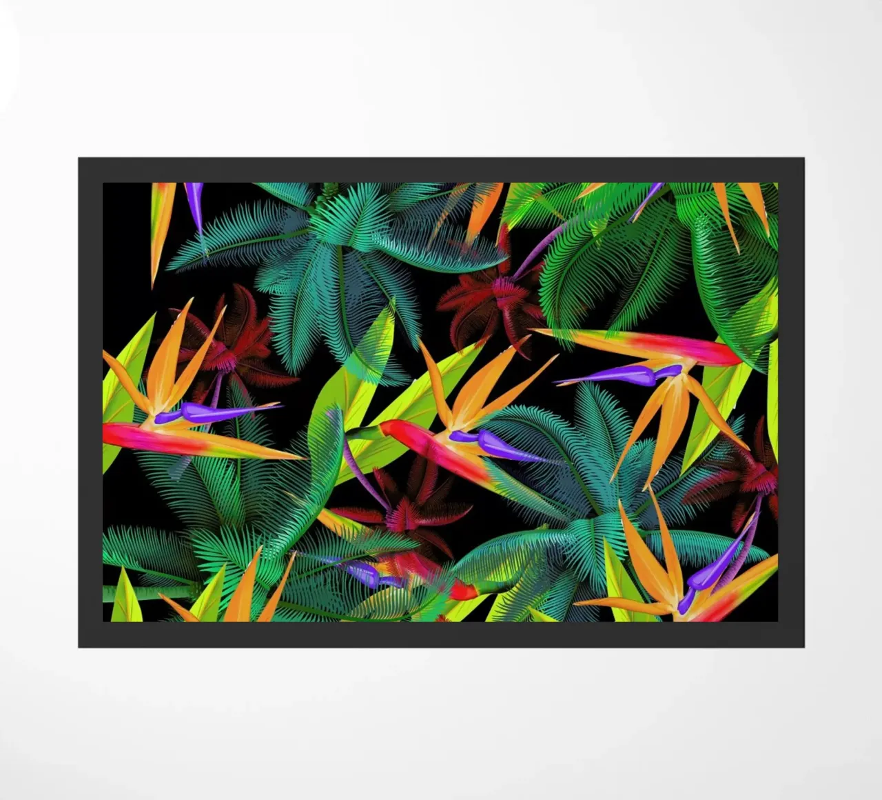 Bird of paradise zerbino da Mark Ashkenazi